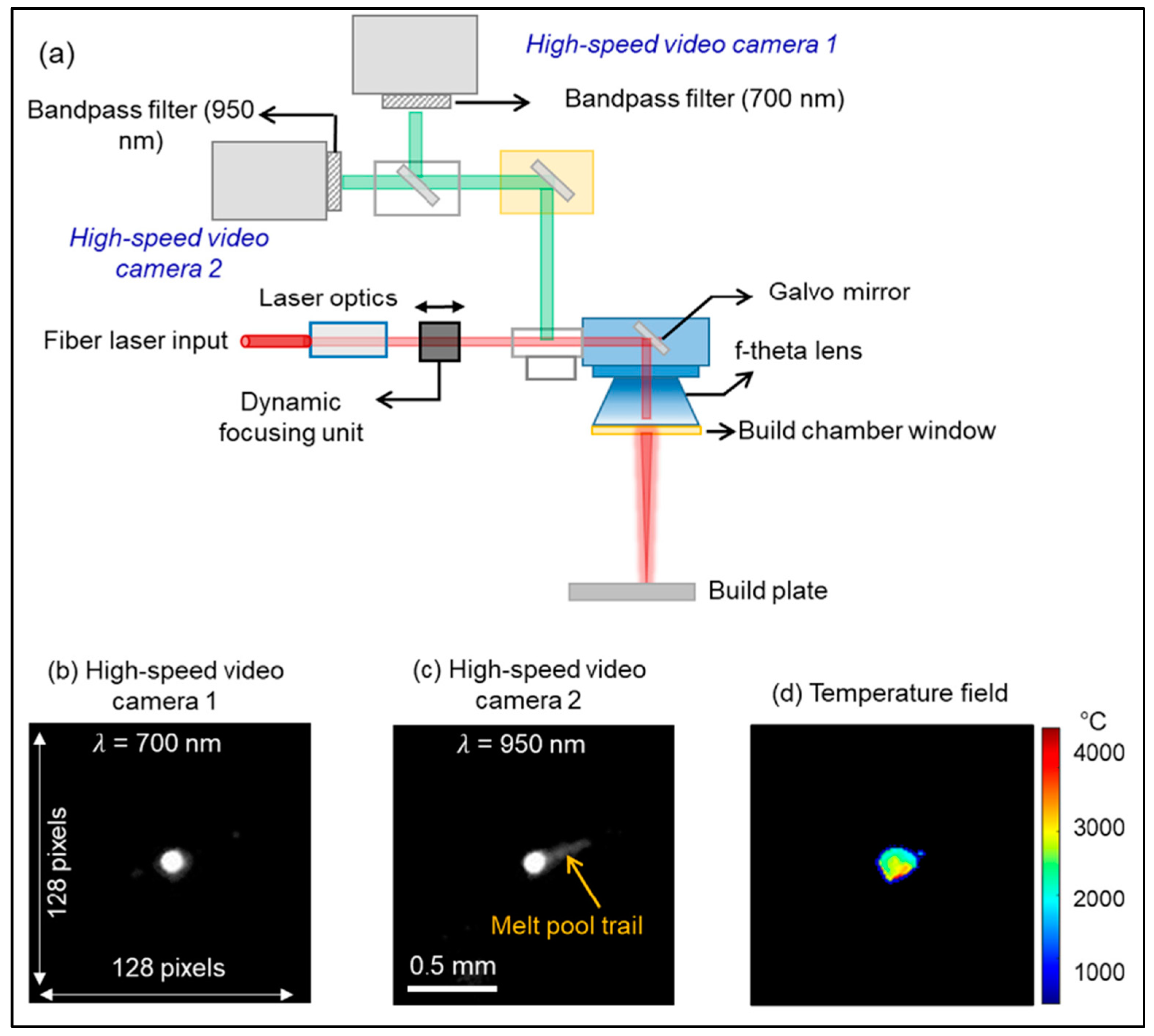 Metals 14 00669 g010