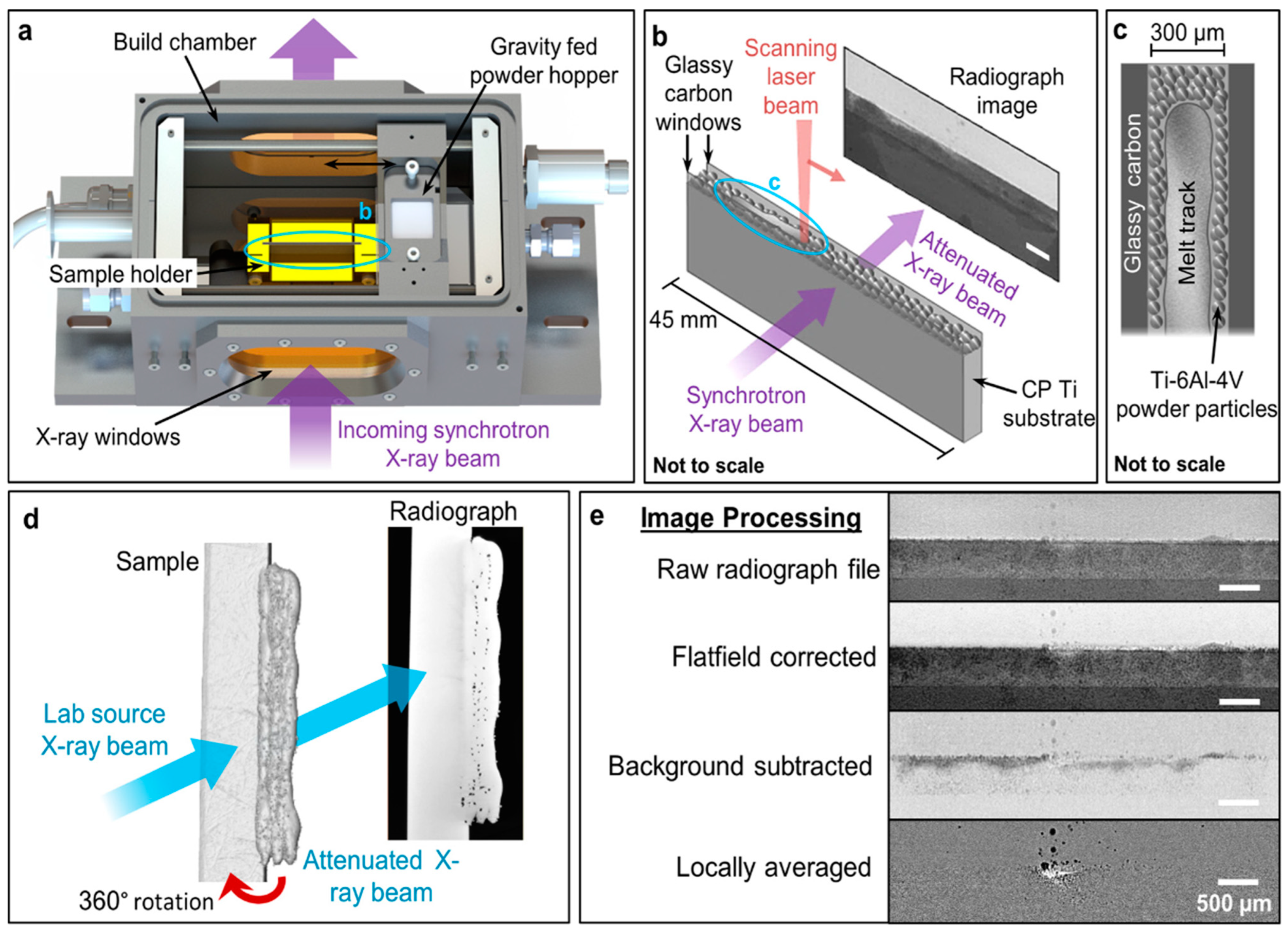 Metals 14 00669 g011