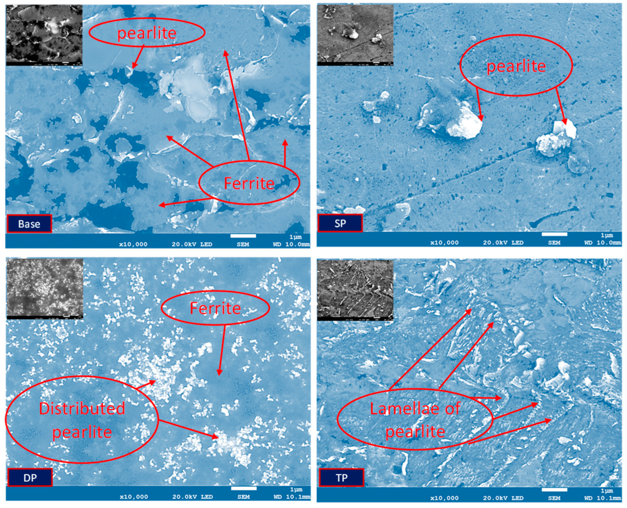 Metals 14 00685 g008