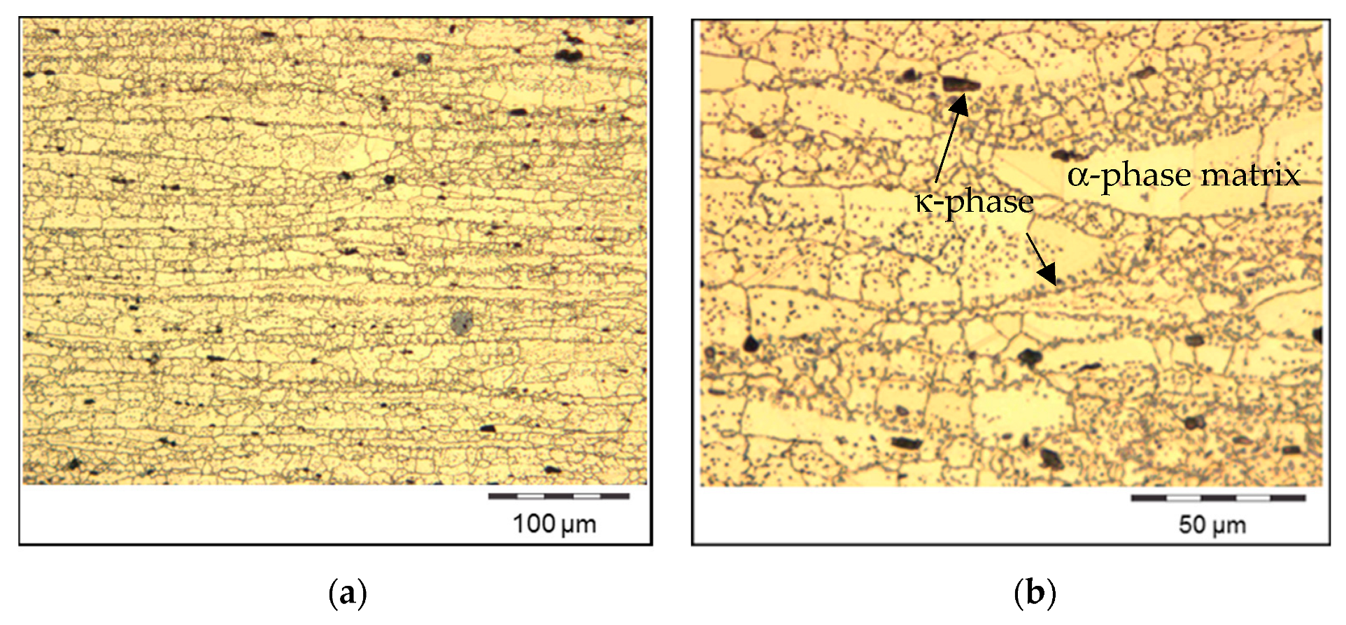 Metals 14 00697 g006