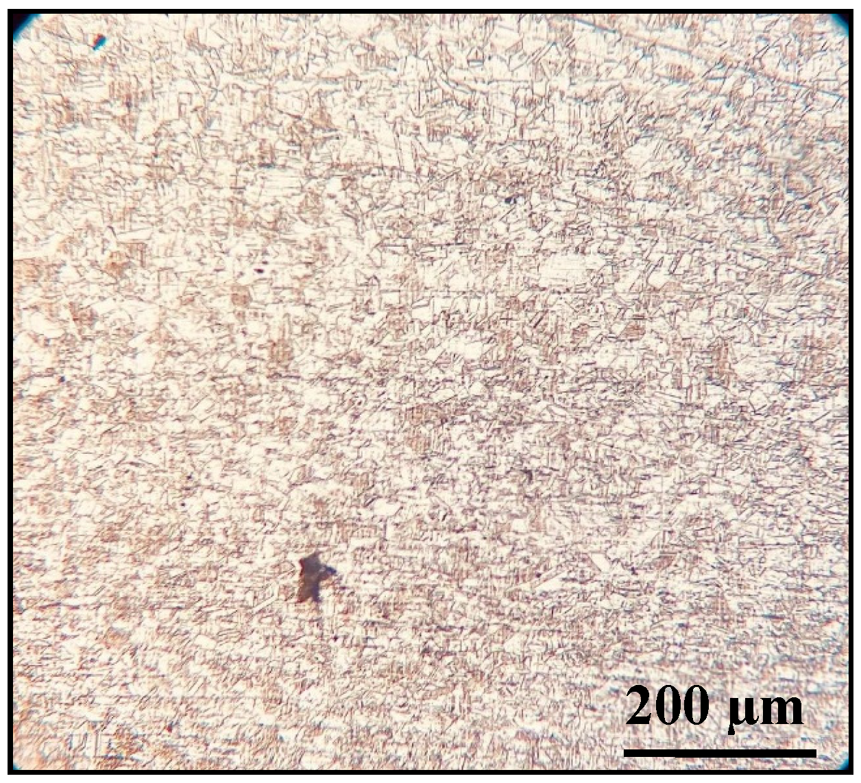 Metals 14 00706 g001