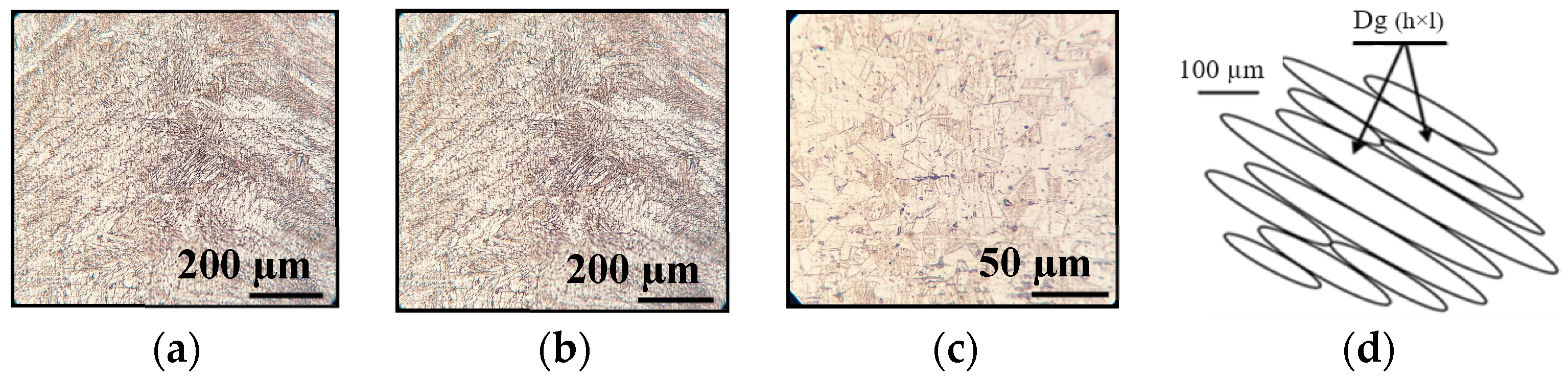 Metals 14 00706 g008
