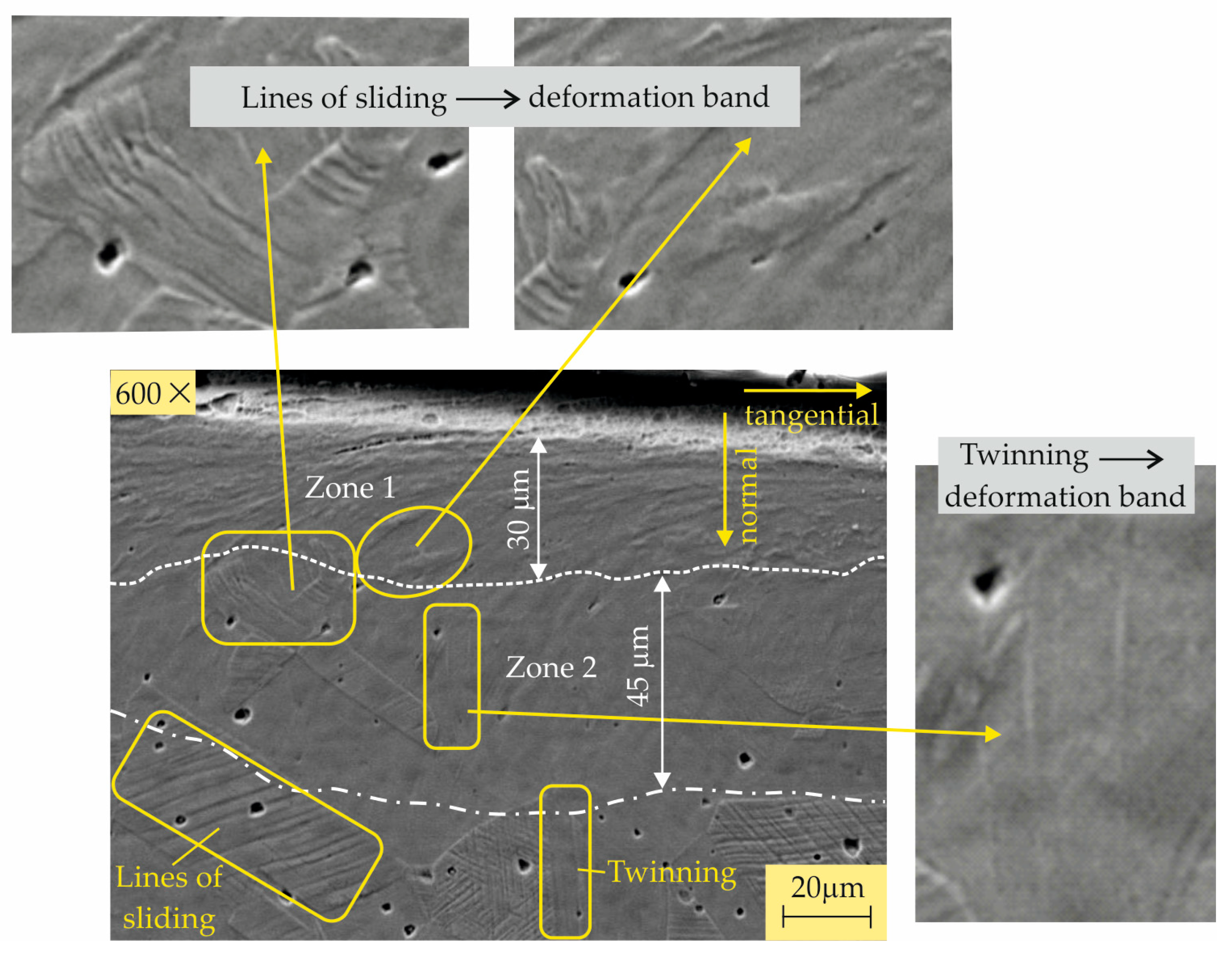 Metals 14 00710 g009