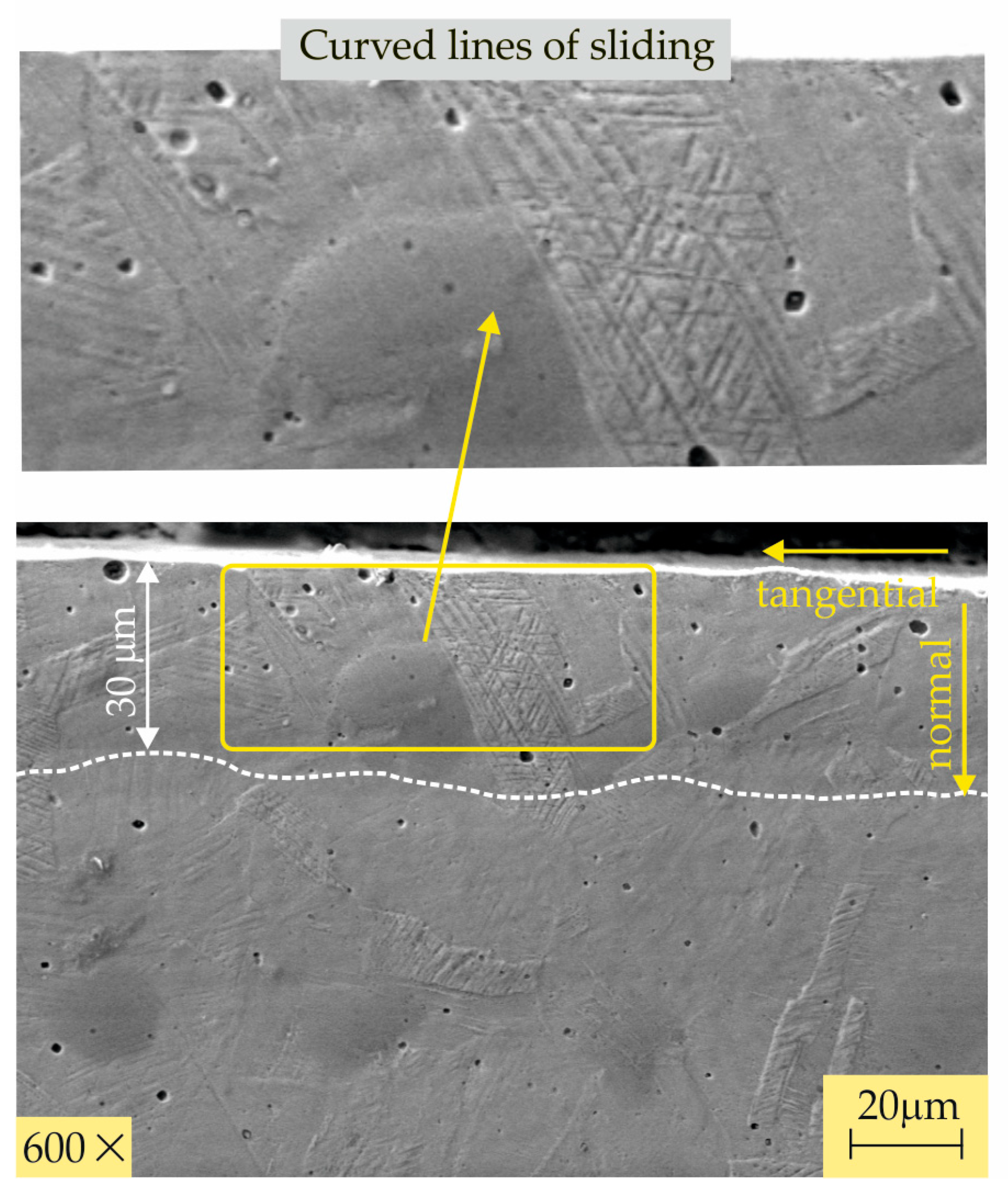Metals 14 00710 g011