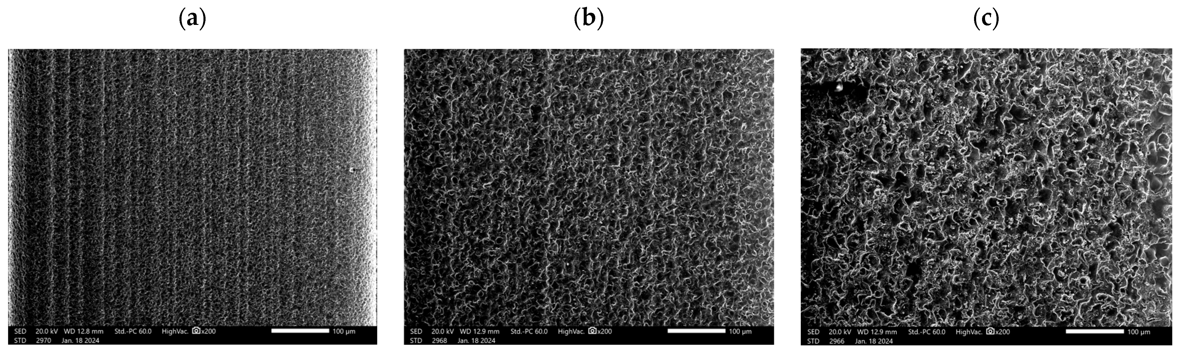 Metals 14 00714 g006