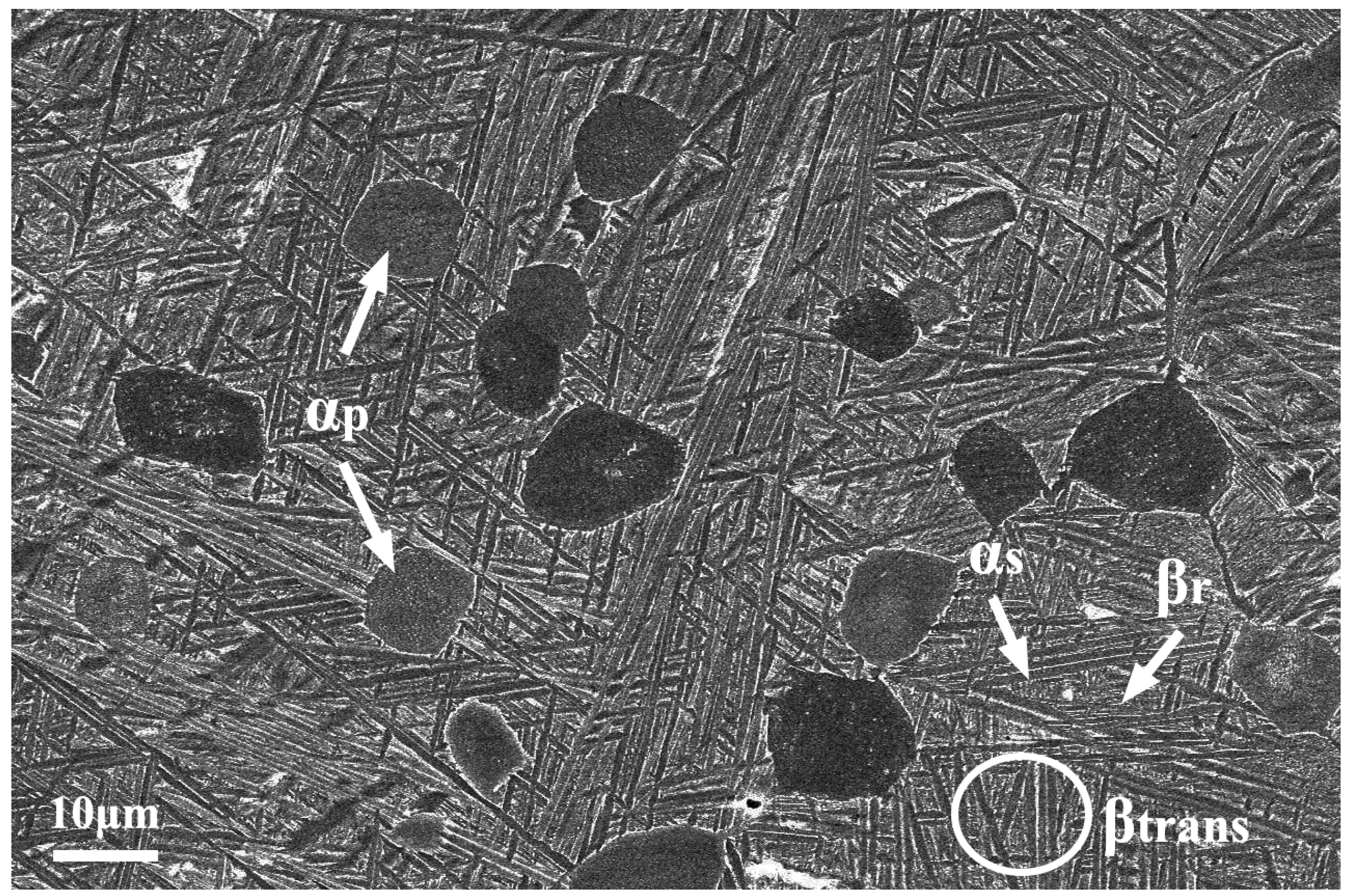 Metals 14 00720 g003