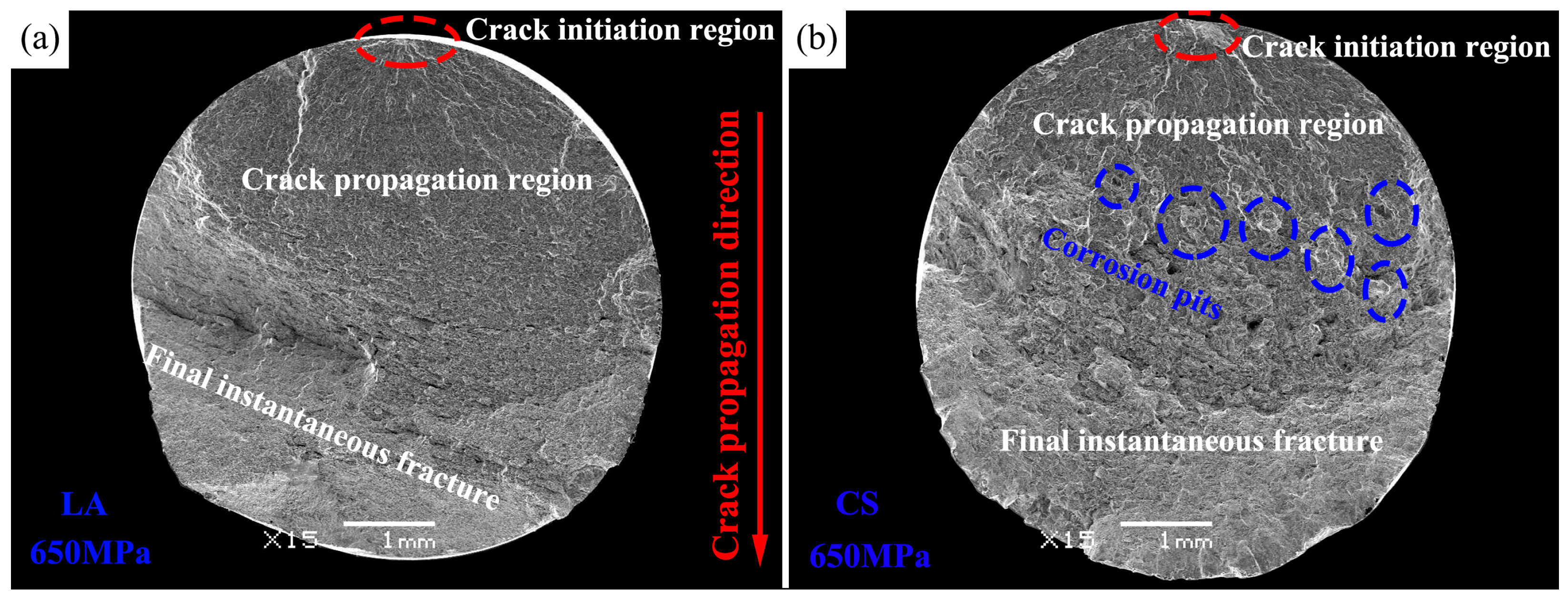 Metals 14 00720 g006