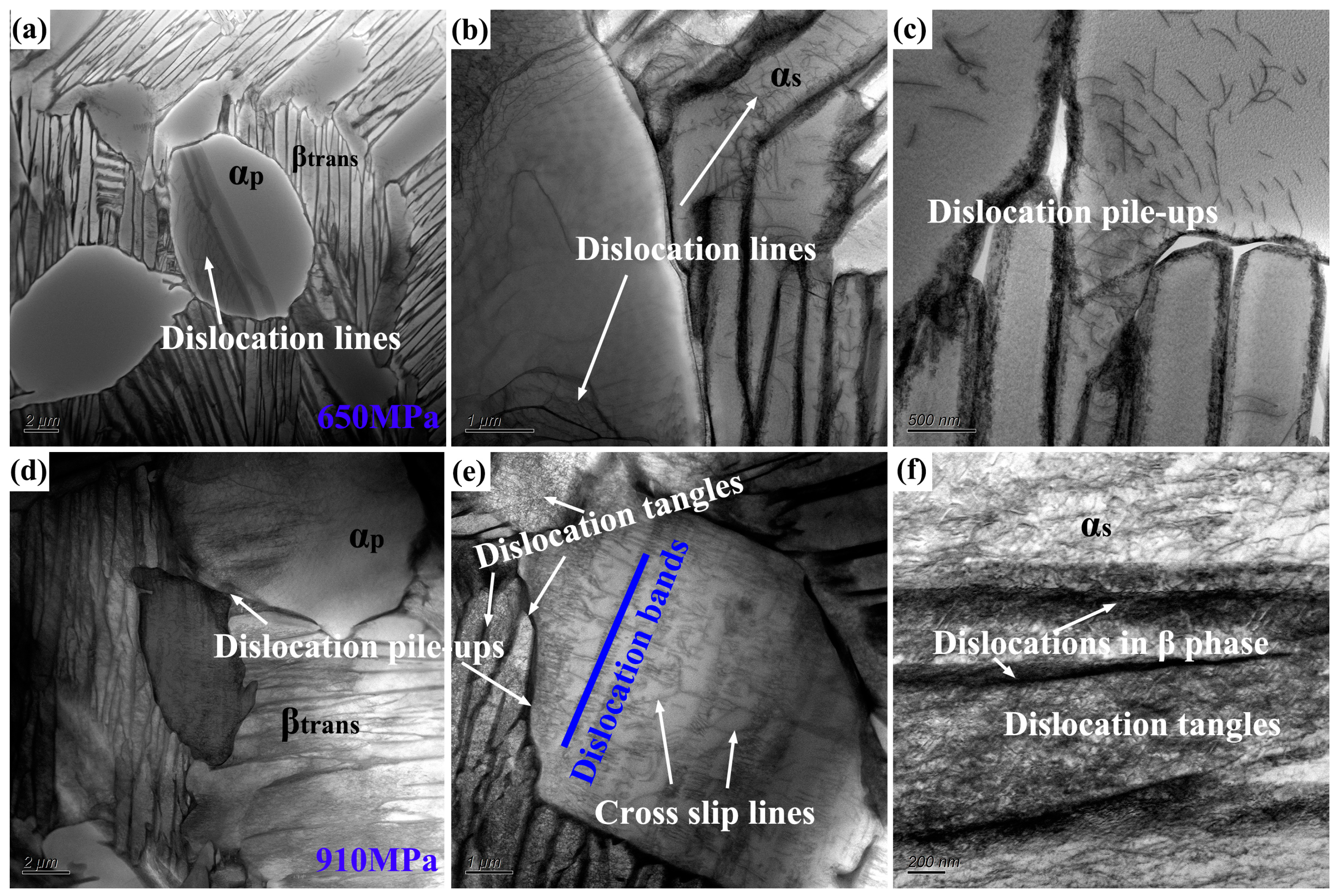 Metals 14 00720 g011