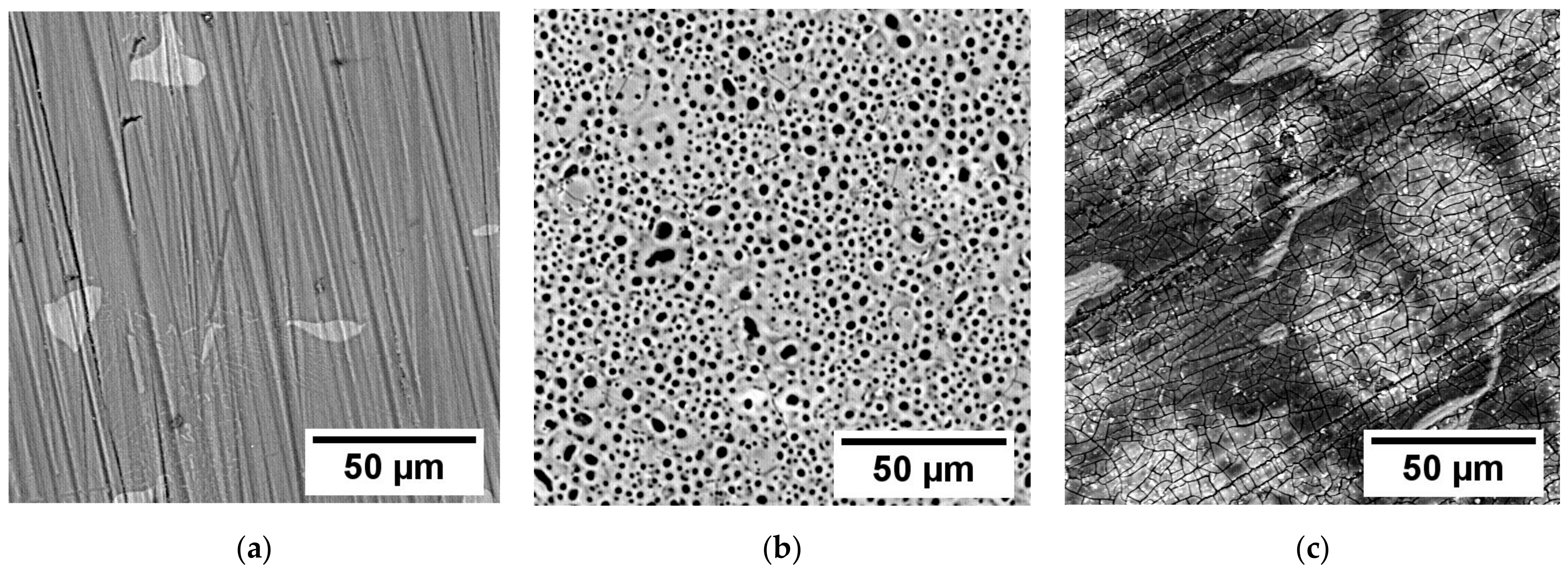 Metals 14 00733 g004