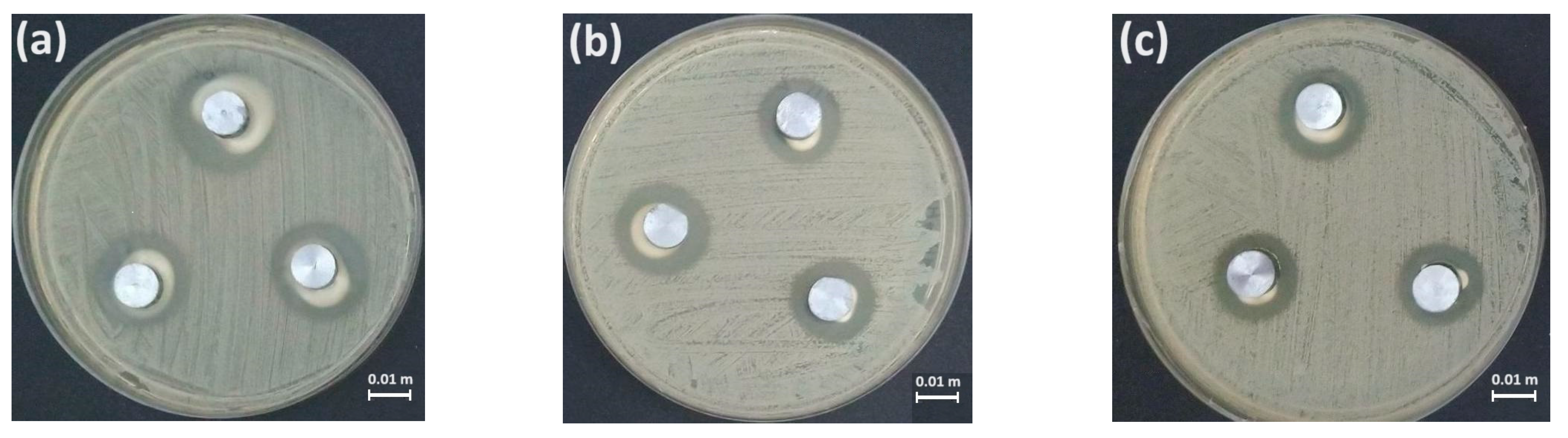 Metals 14 00740 g009