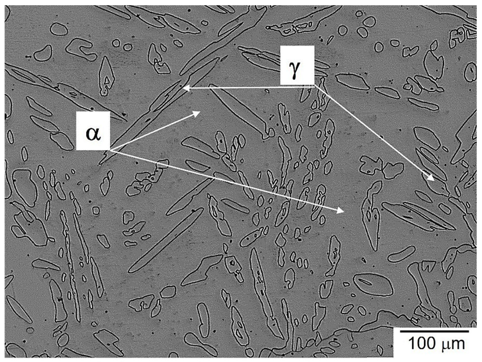 Metals 14 00748 g007