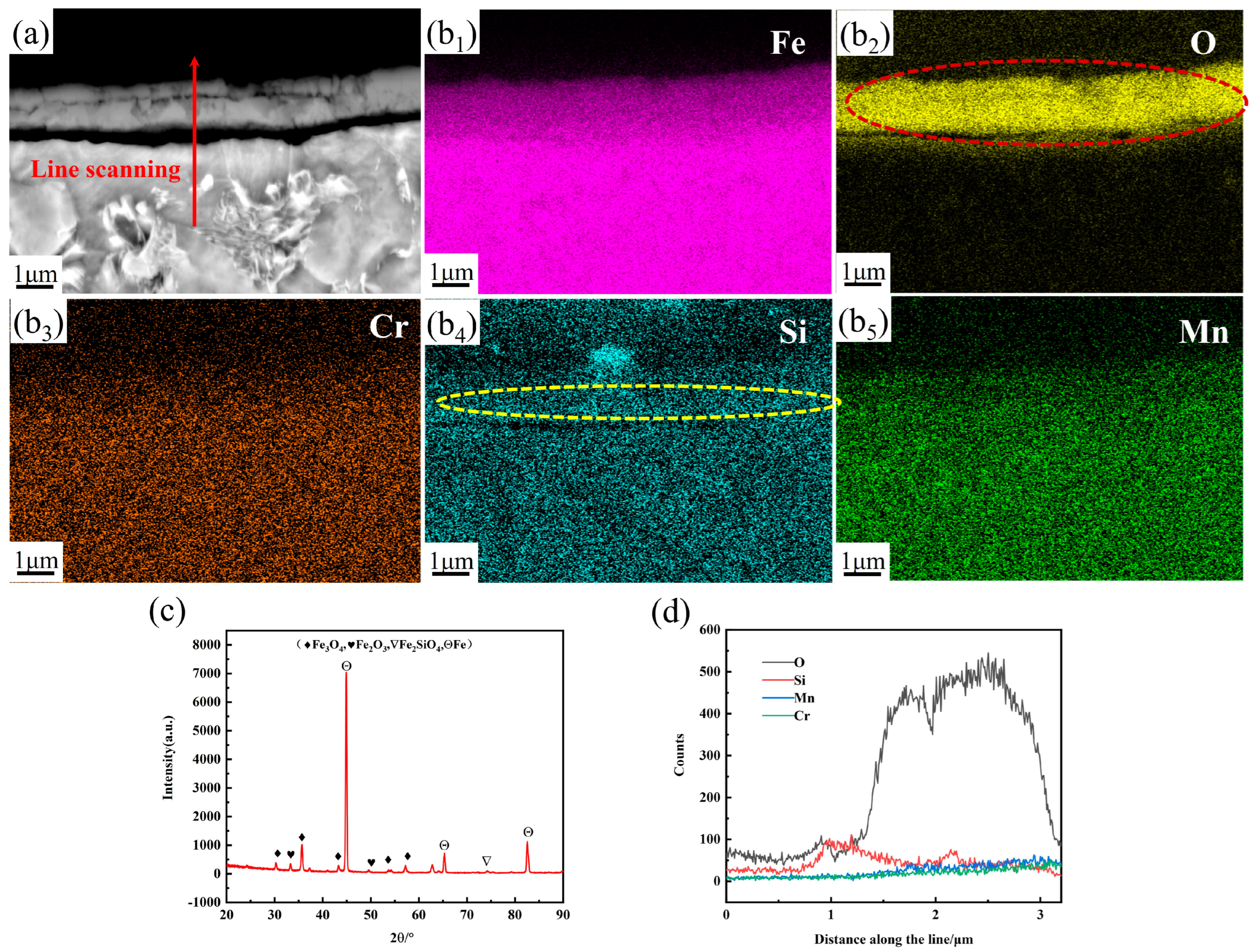 Metals 14 00760 g002