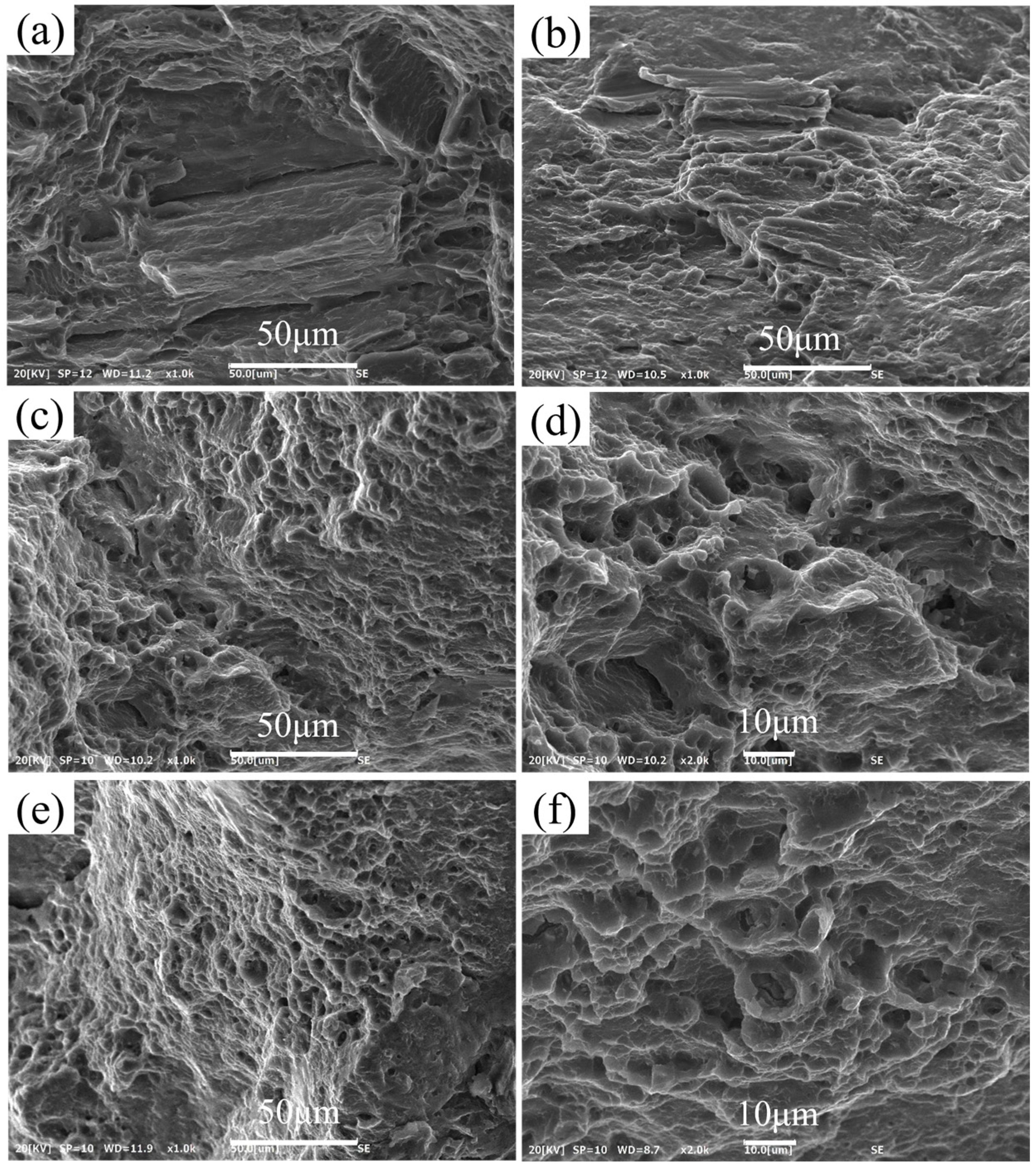 Metals 14 00765 g008