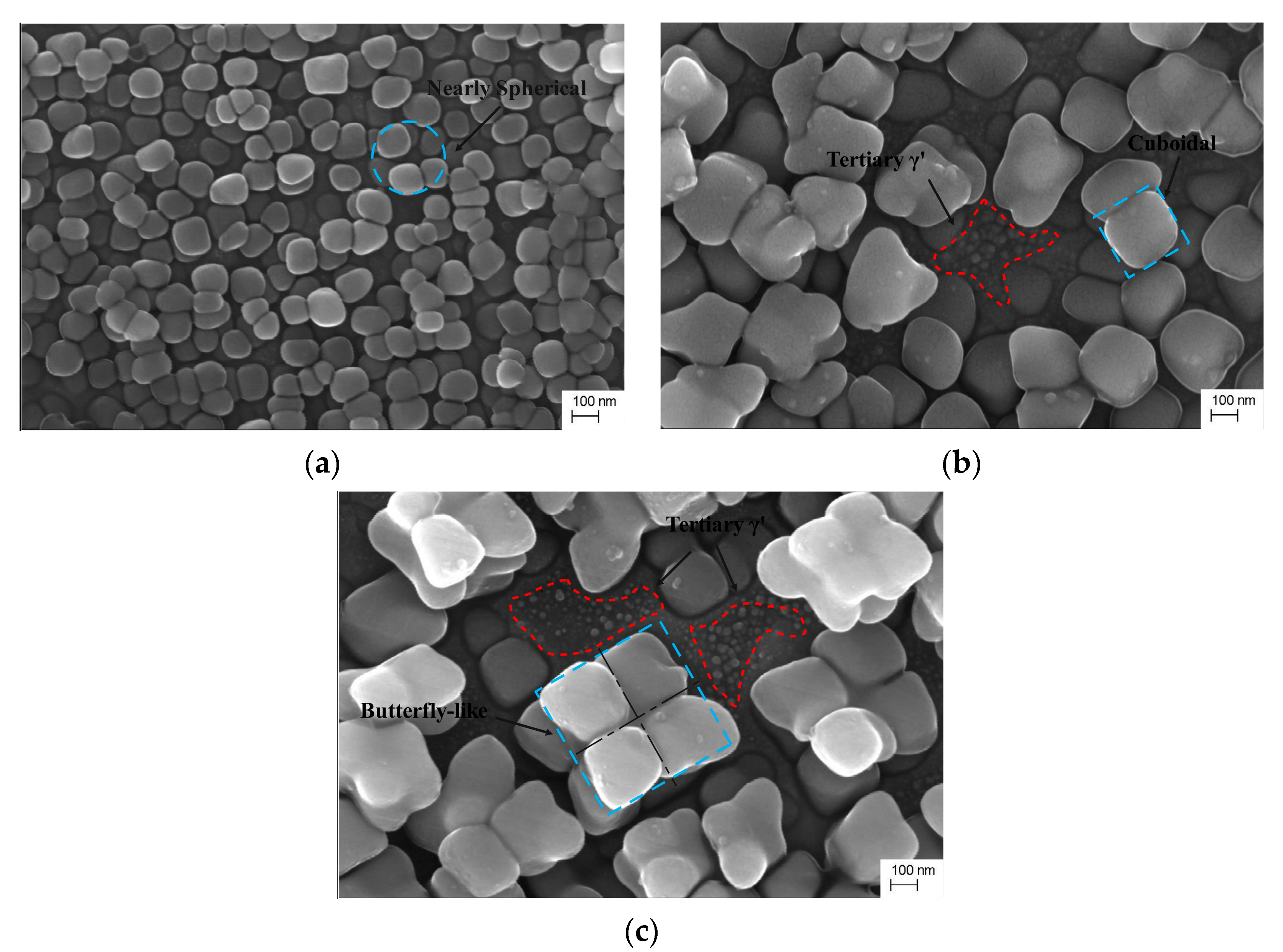 Metals 14 00769 g007