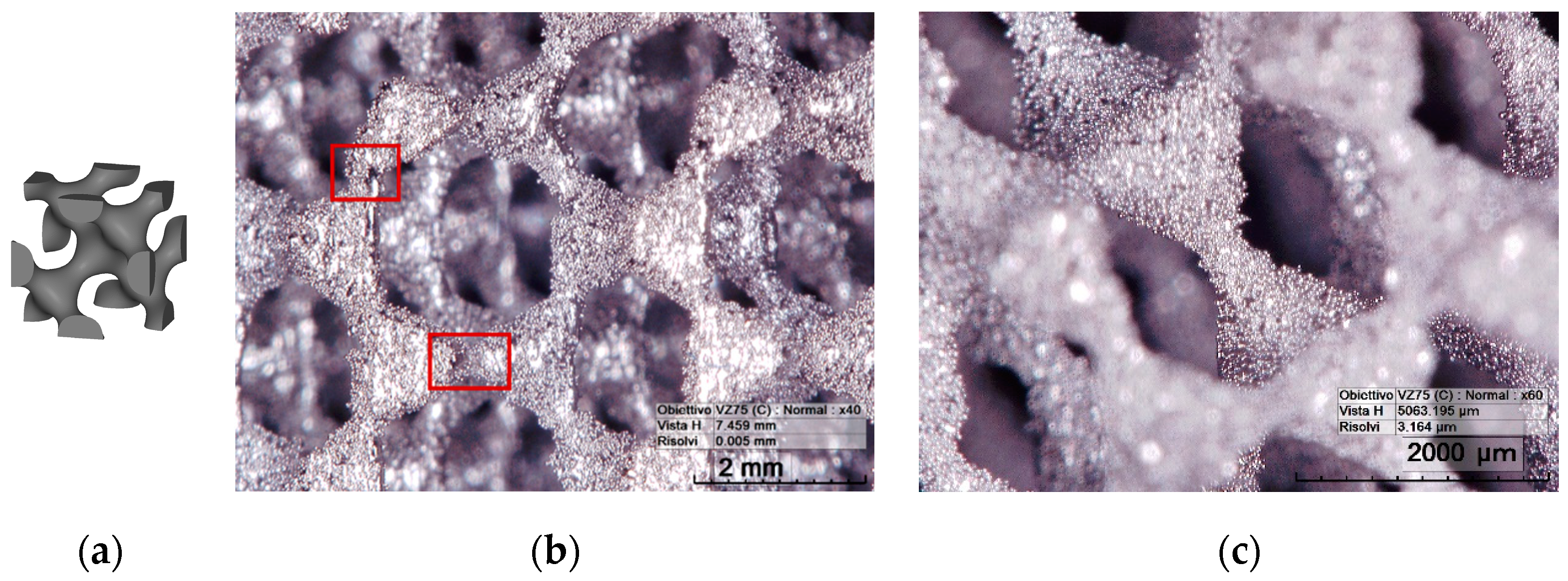 Metals 14 00775 g006