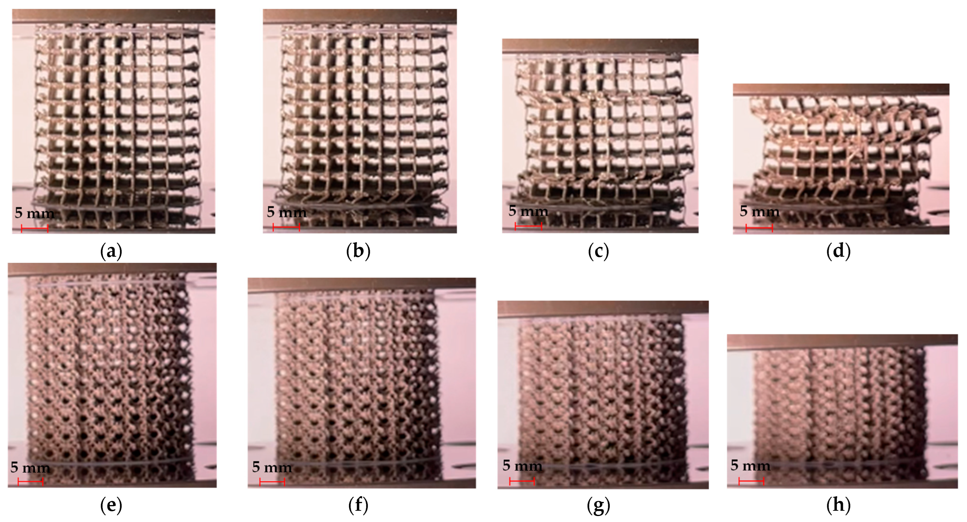 Metals 14 00780 g010