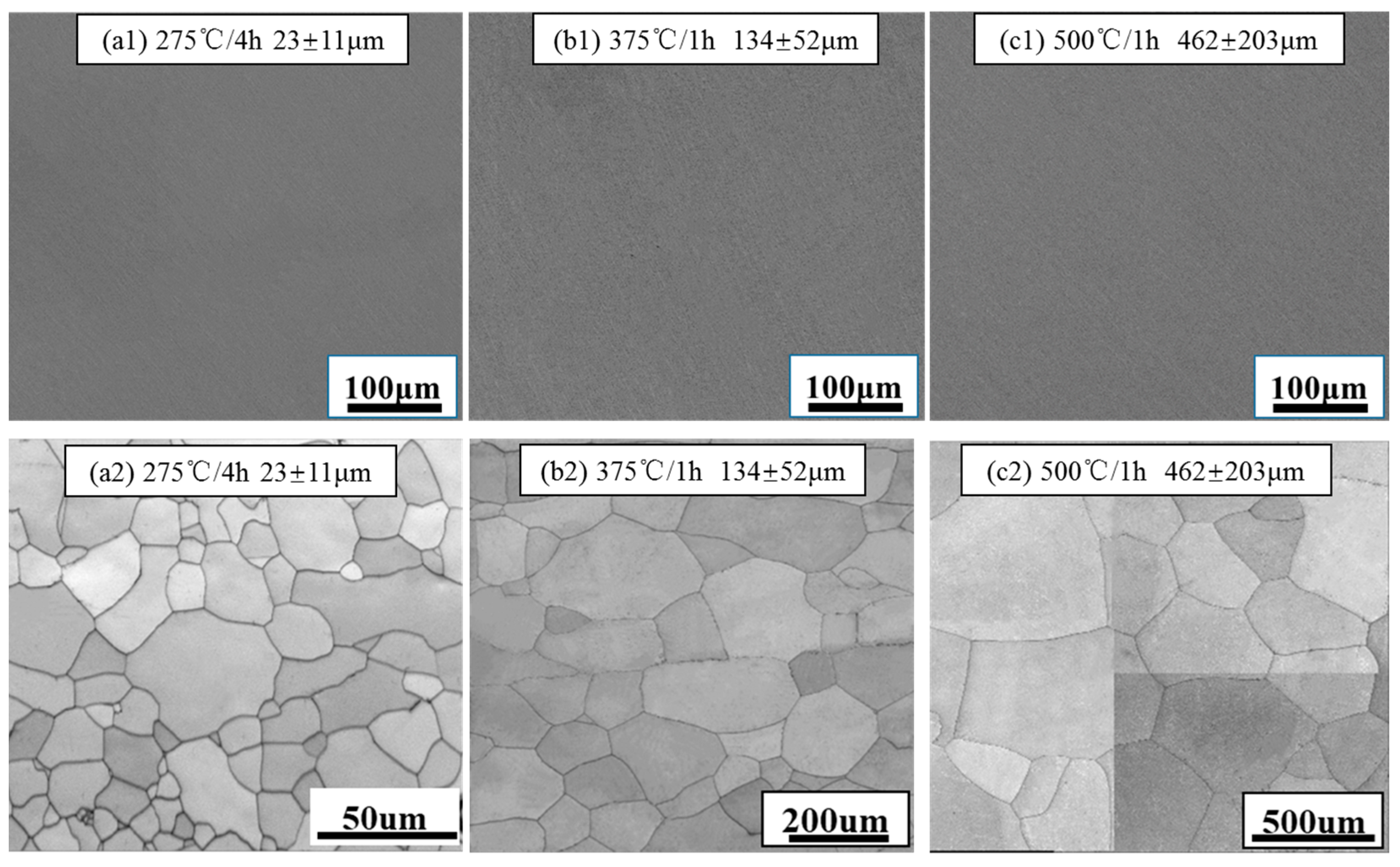 Metals 14 00782 g001 Metals 14 00782 g001