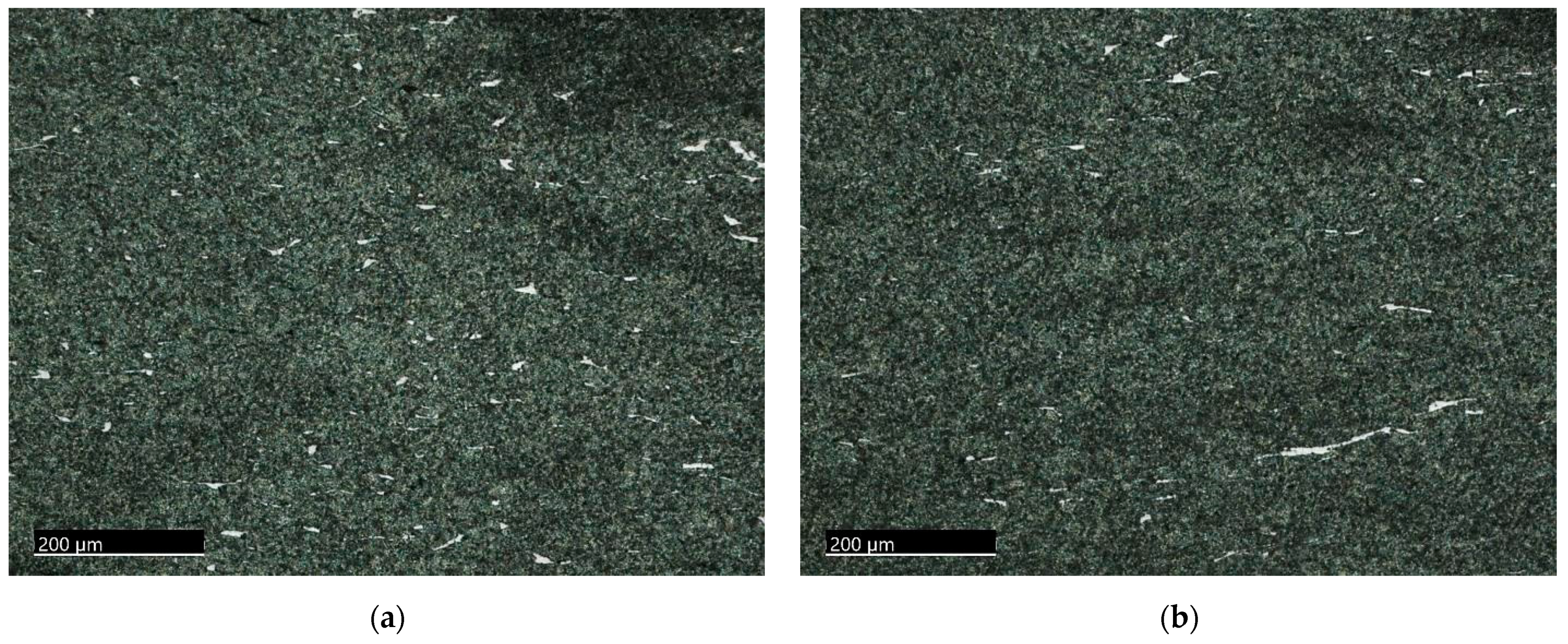 Metals 14 00783 g006 Metals 14 00783 g006