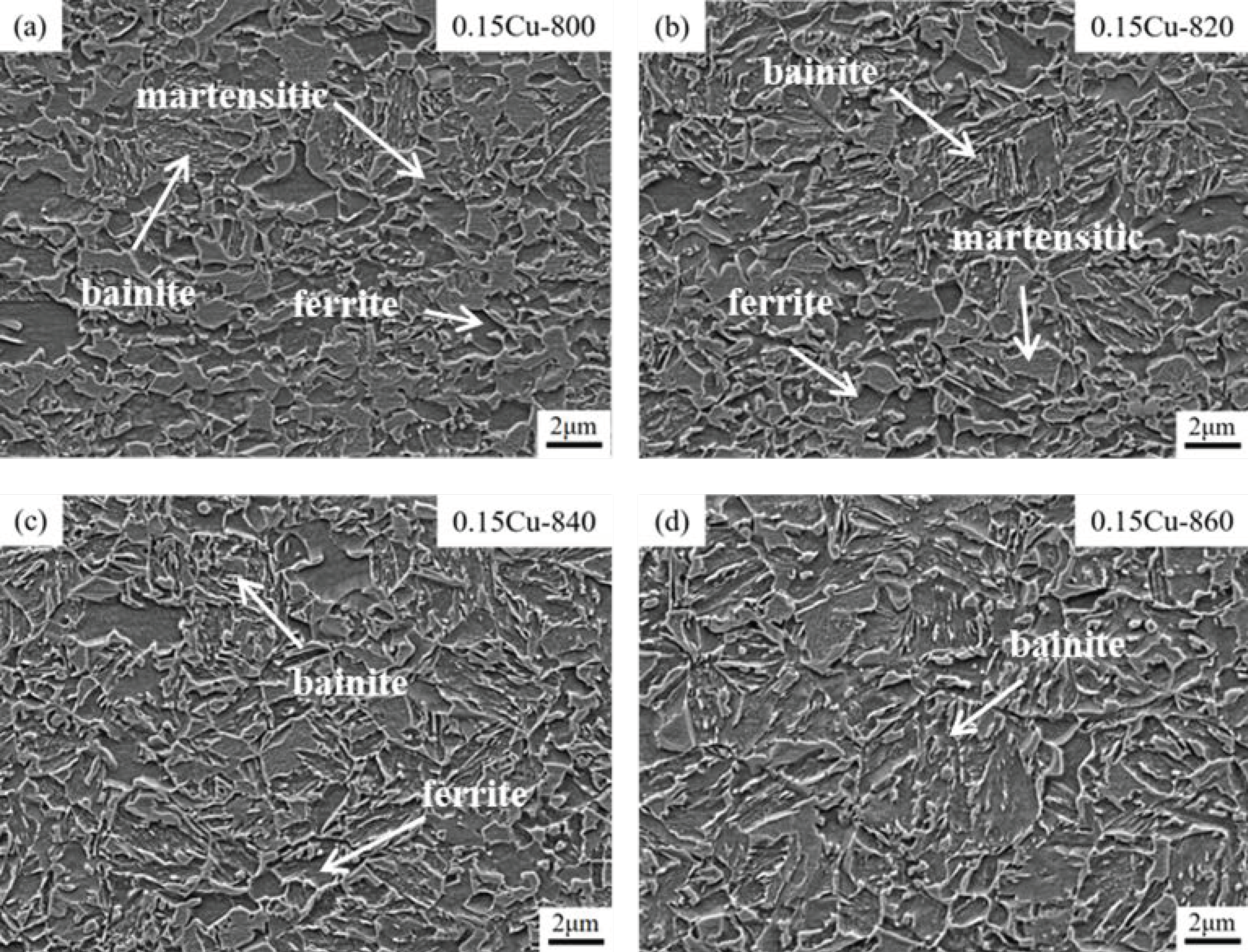 Metals 14 00791 g008