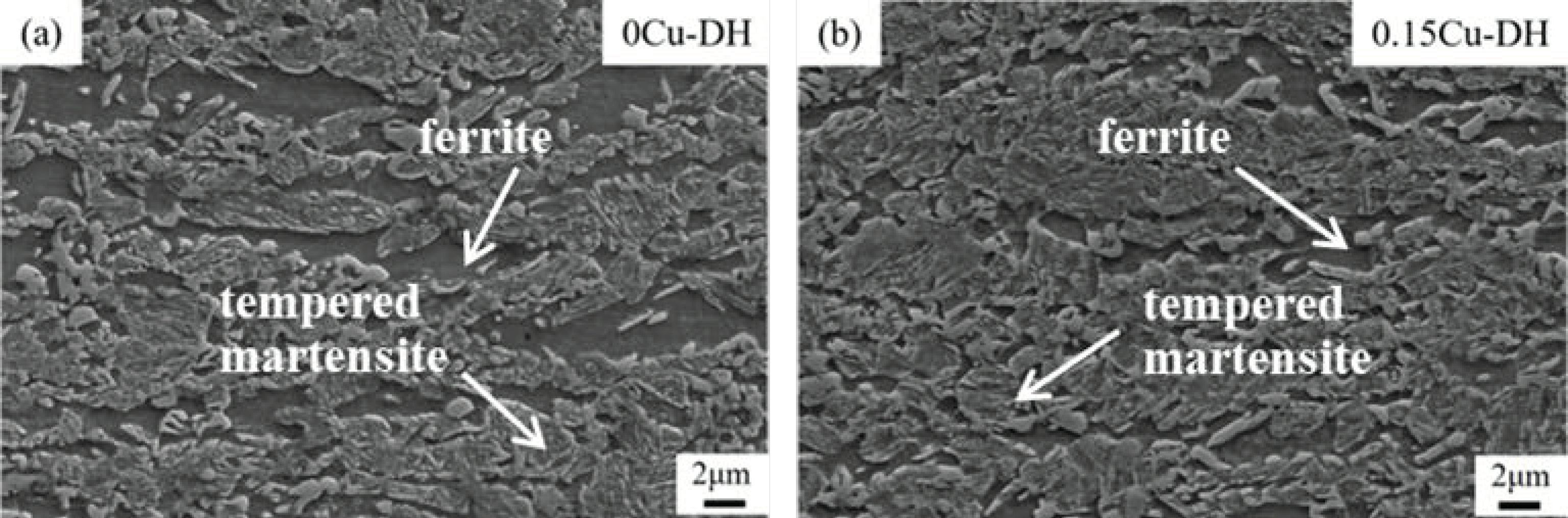 Metals 14 00791 g010