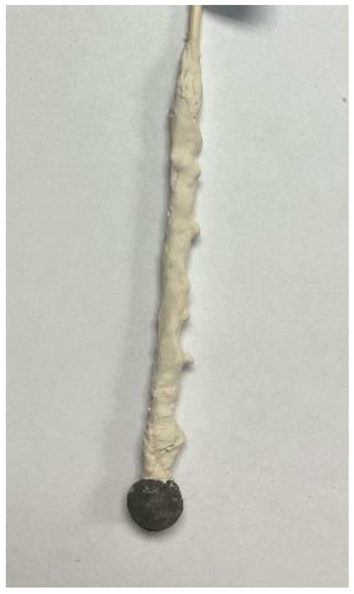 Metals 14 00821 g006