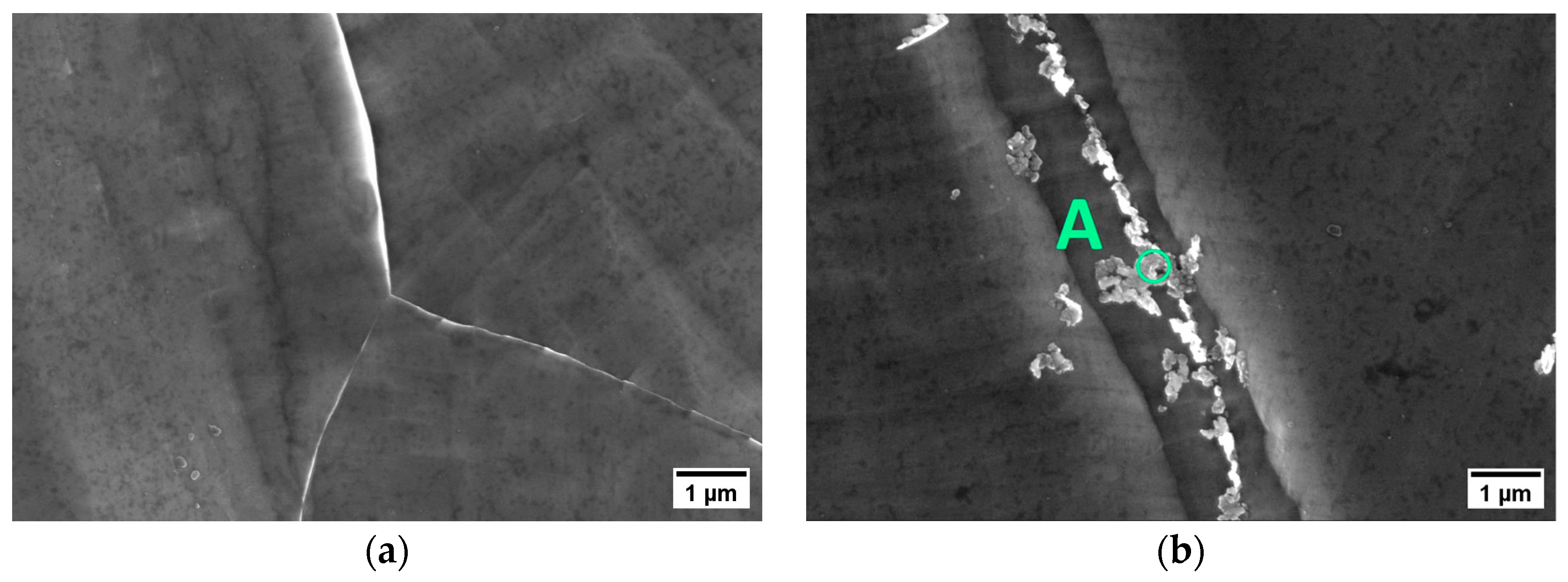 Metals 14 00823 g004a