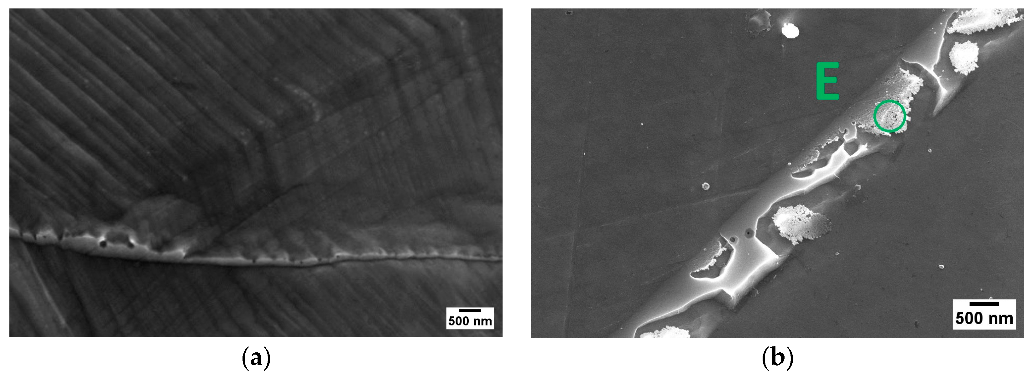 Metals 14 00823 g006