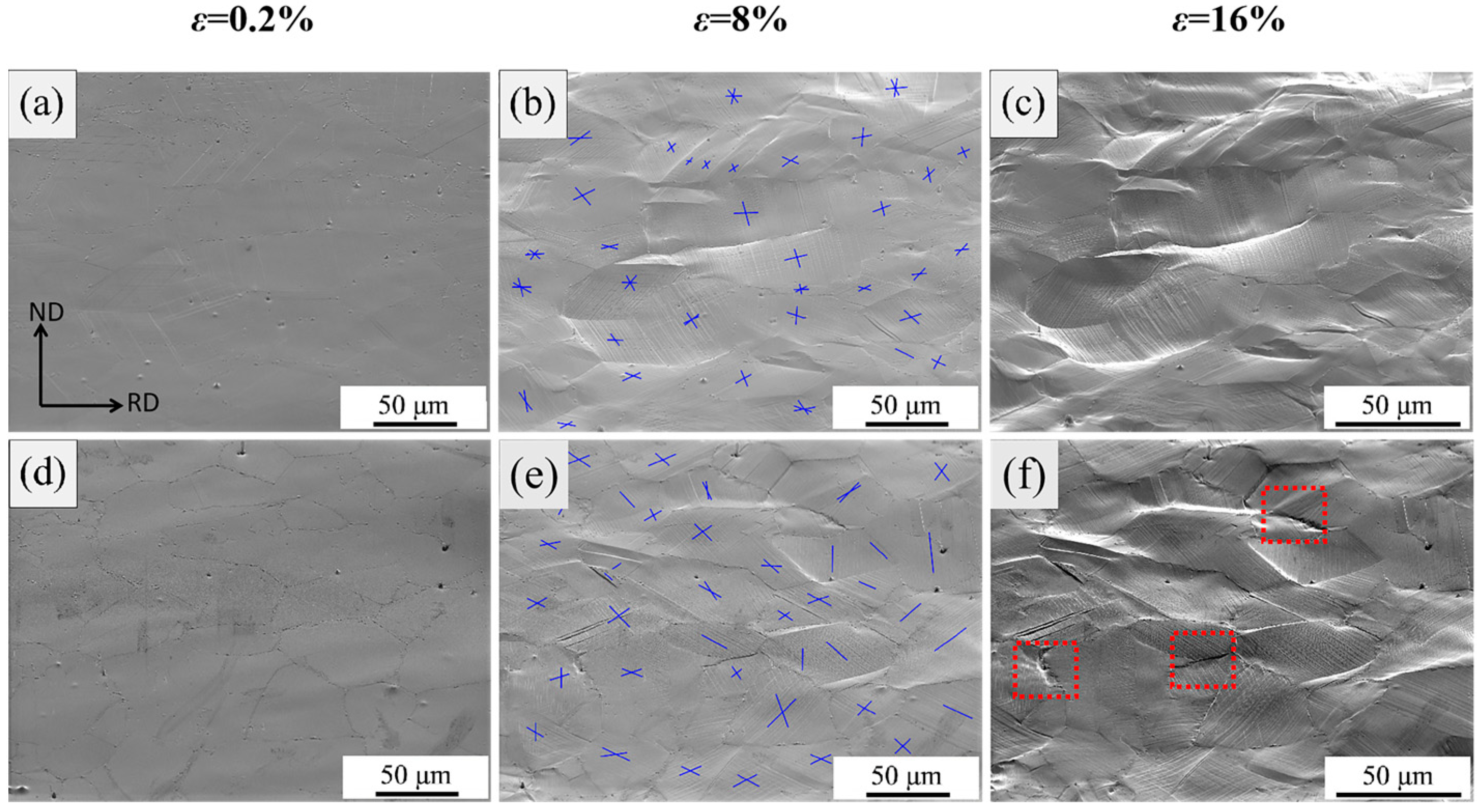 Metals 14 00826 g007