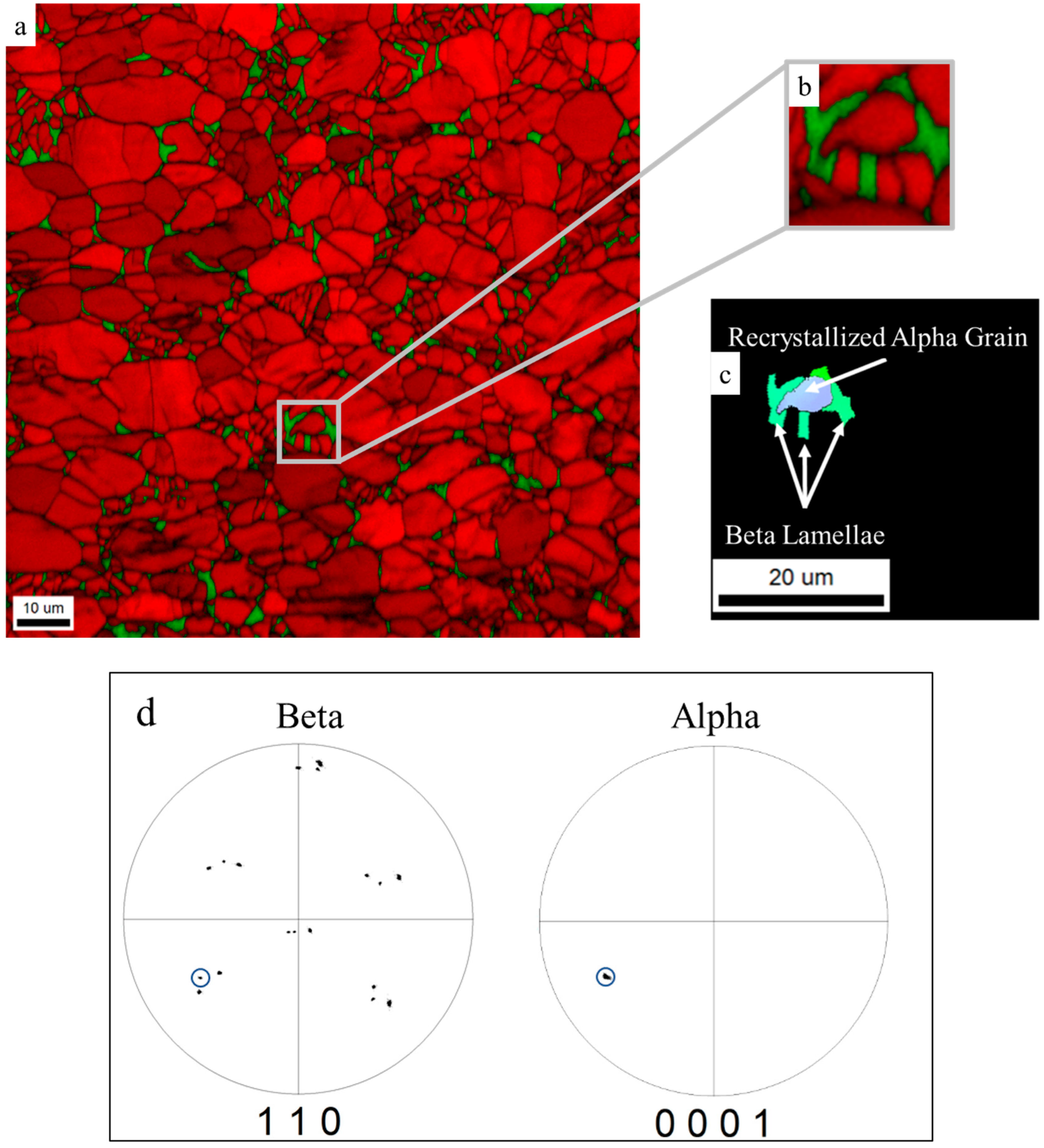 Metals 14 00828 g007