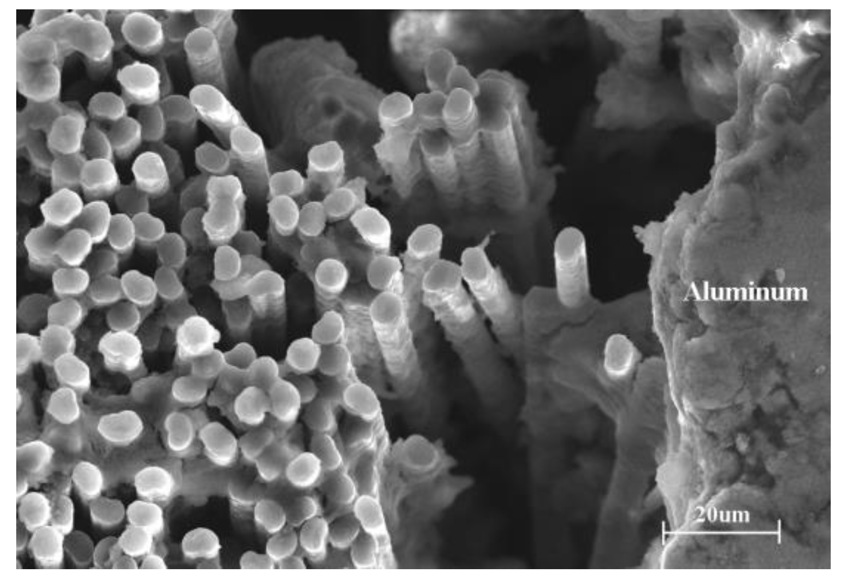 Metals 14 00832 g018