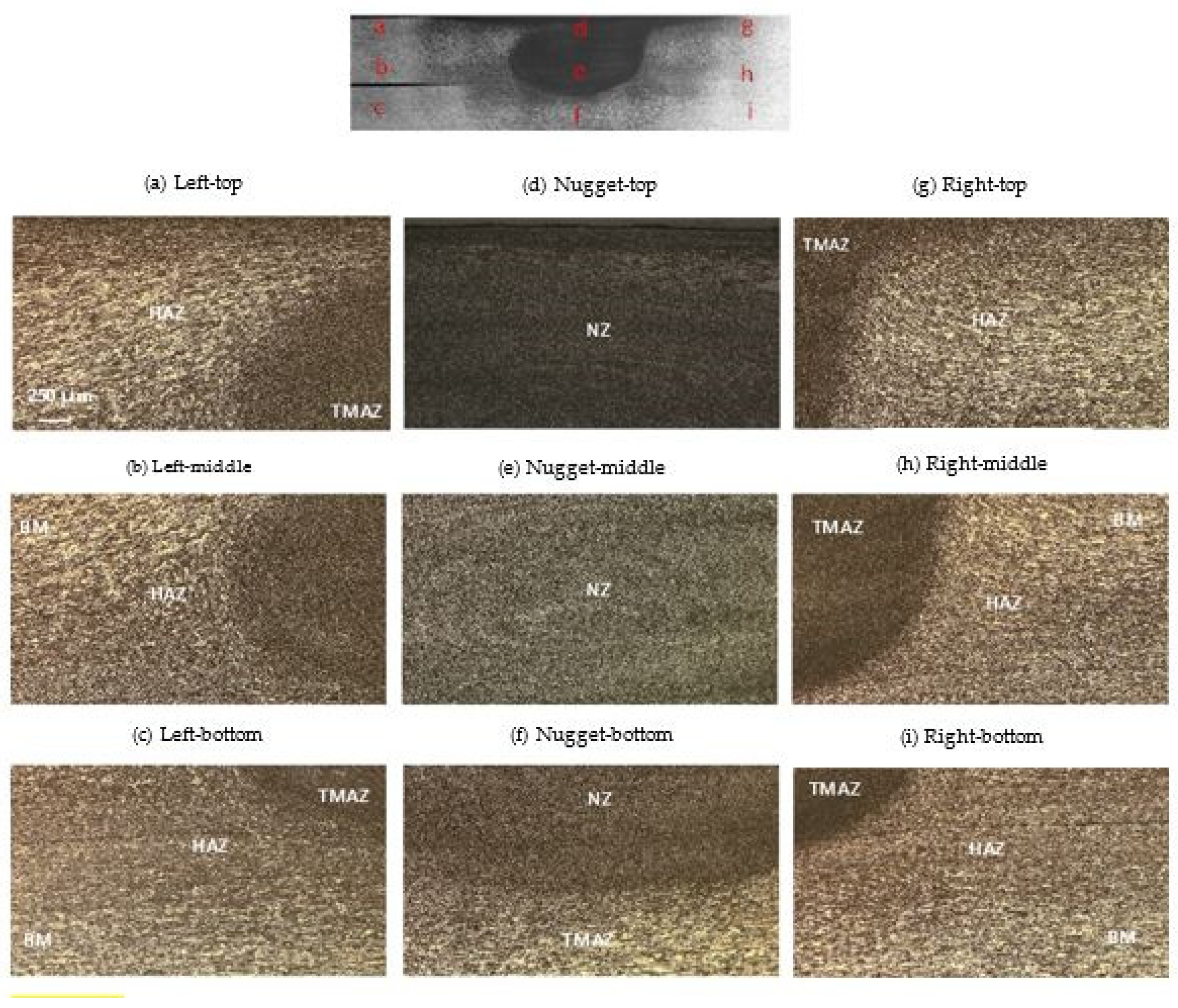 Metals 14 00839 g010