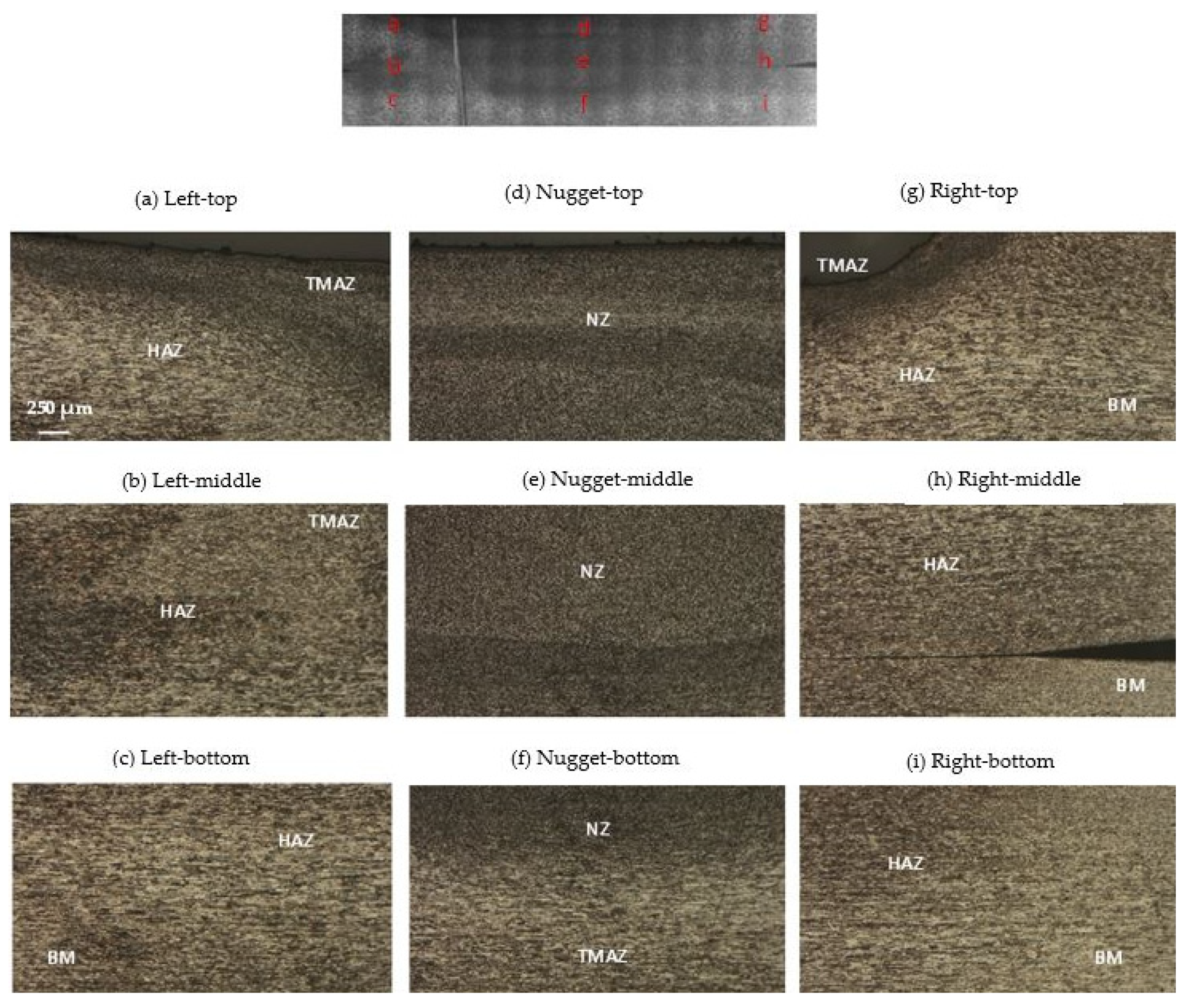 Metals 14 00839 g012