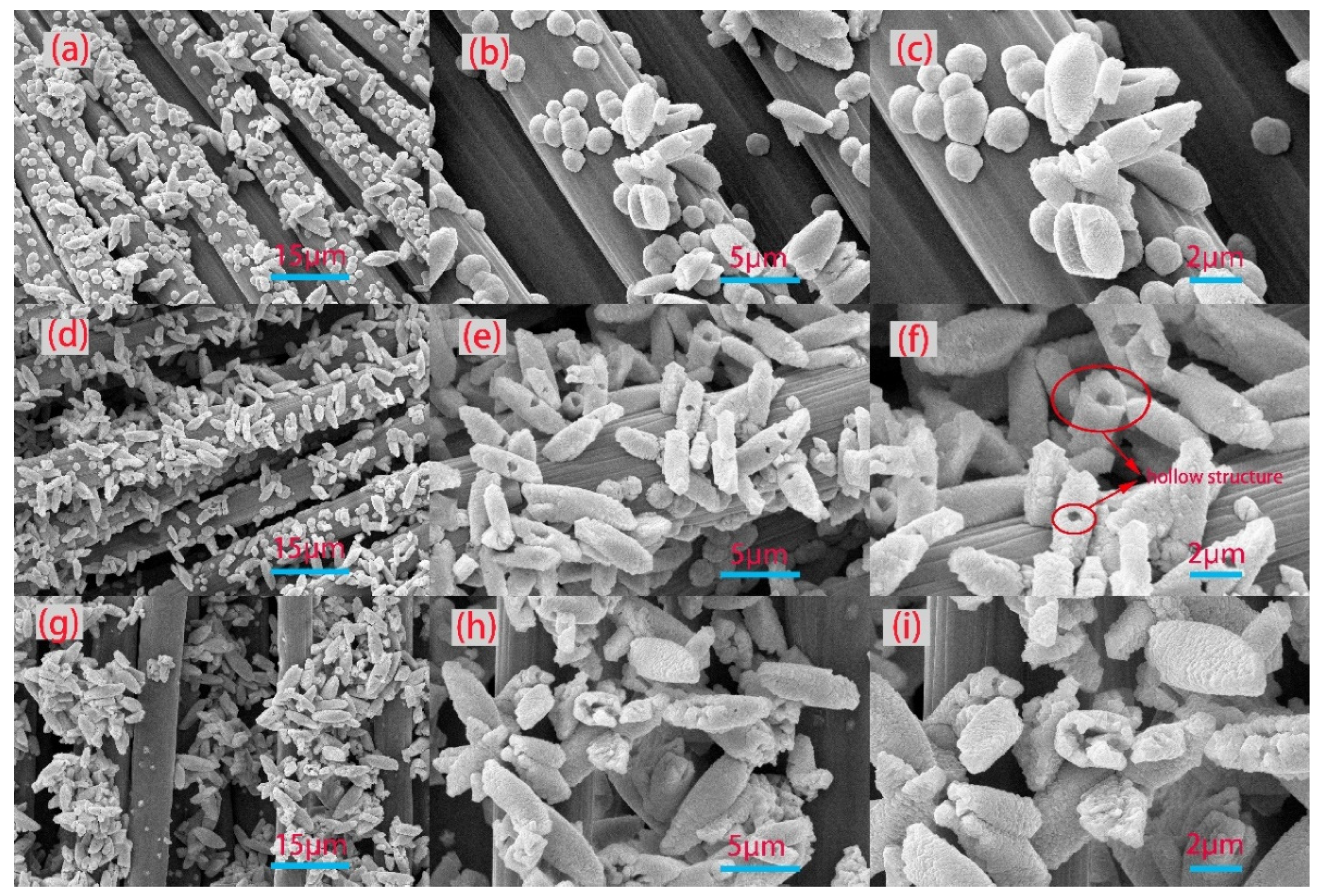 Metals 14 00841 g002