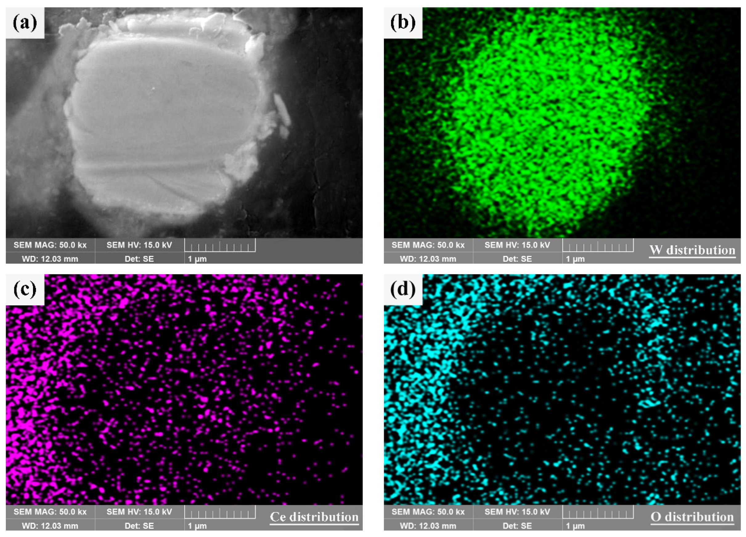 Metals 14 00842 g007