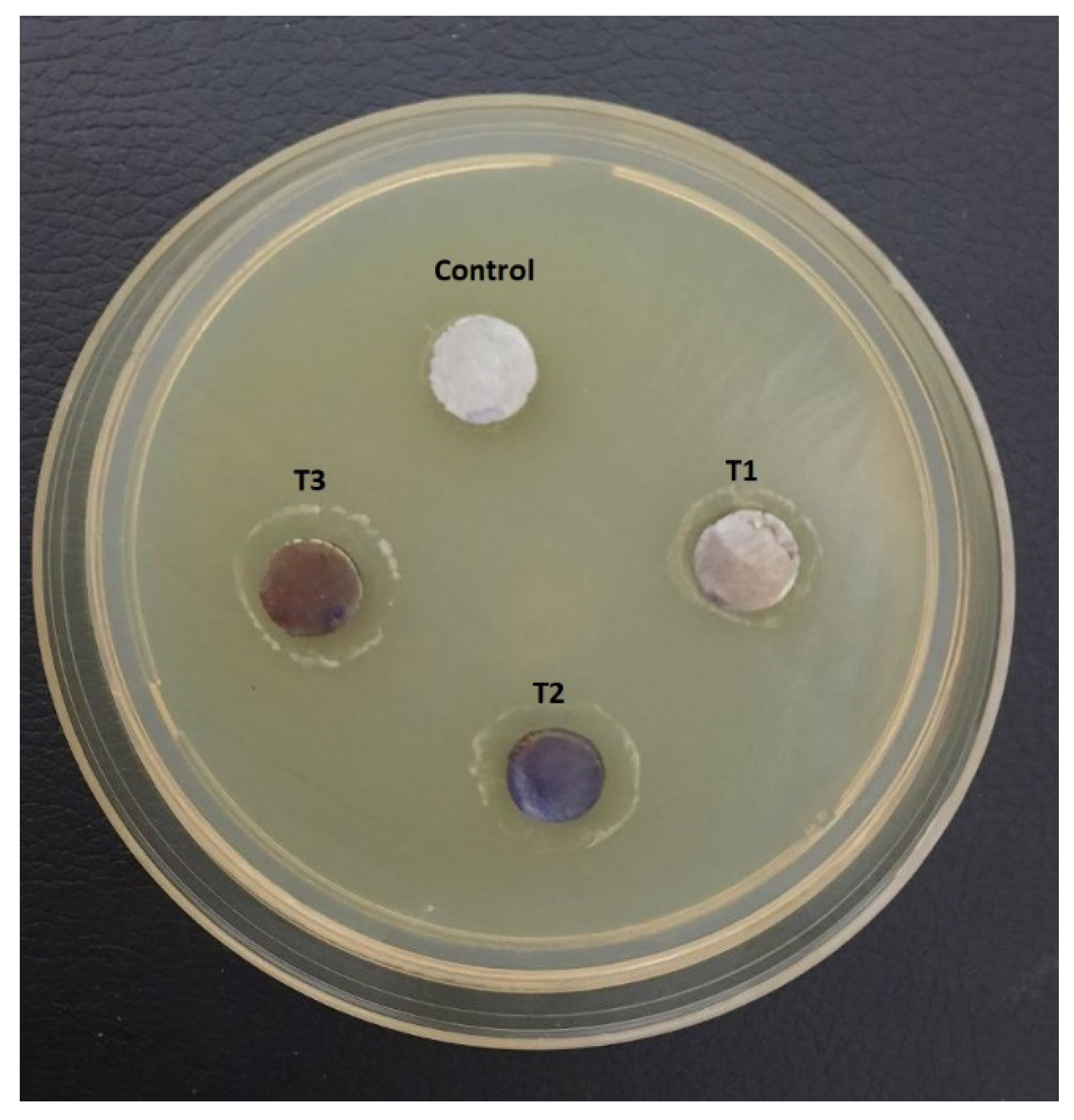 Metals 14 00853 g013