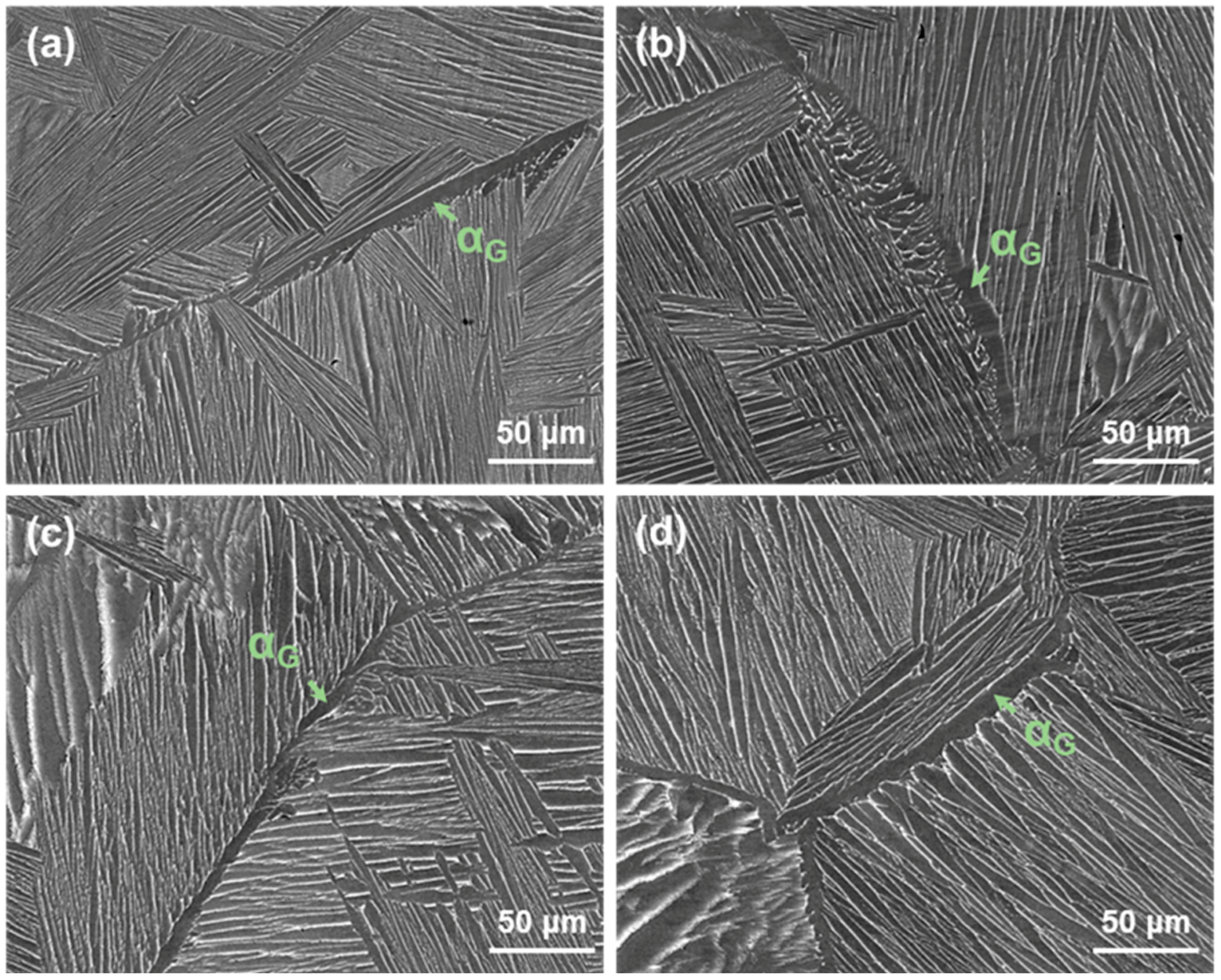 Metals 14 00854 g002