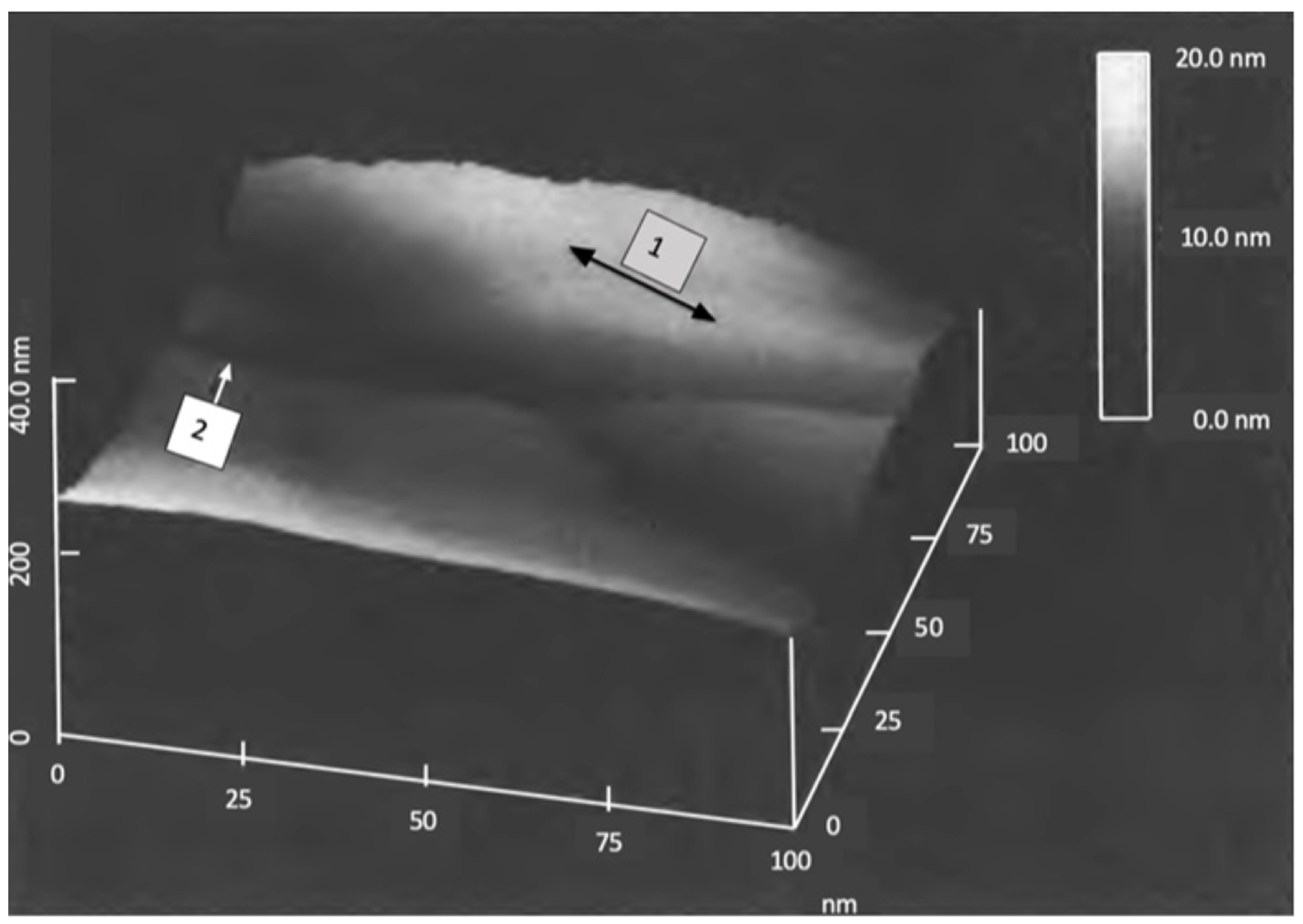 Metals 14 00871 g007