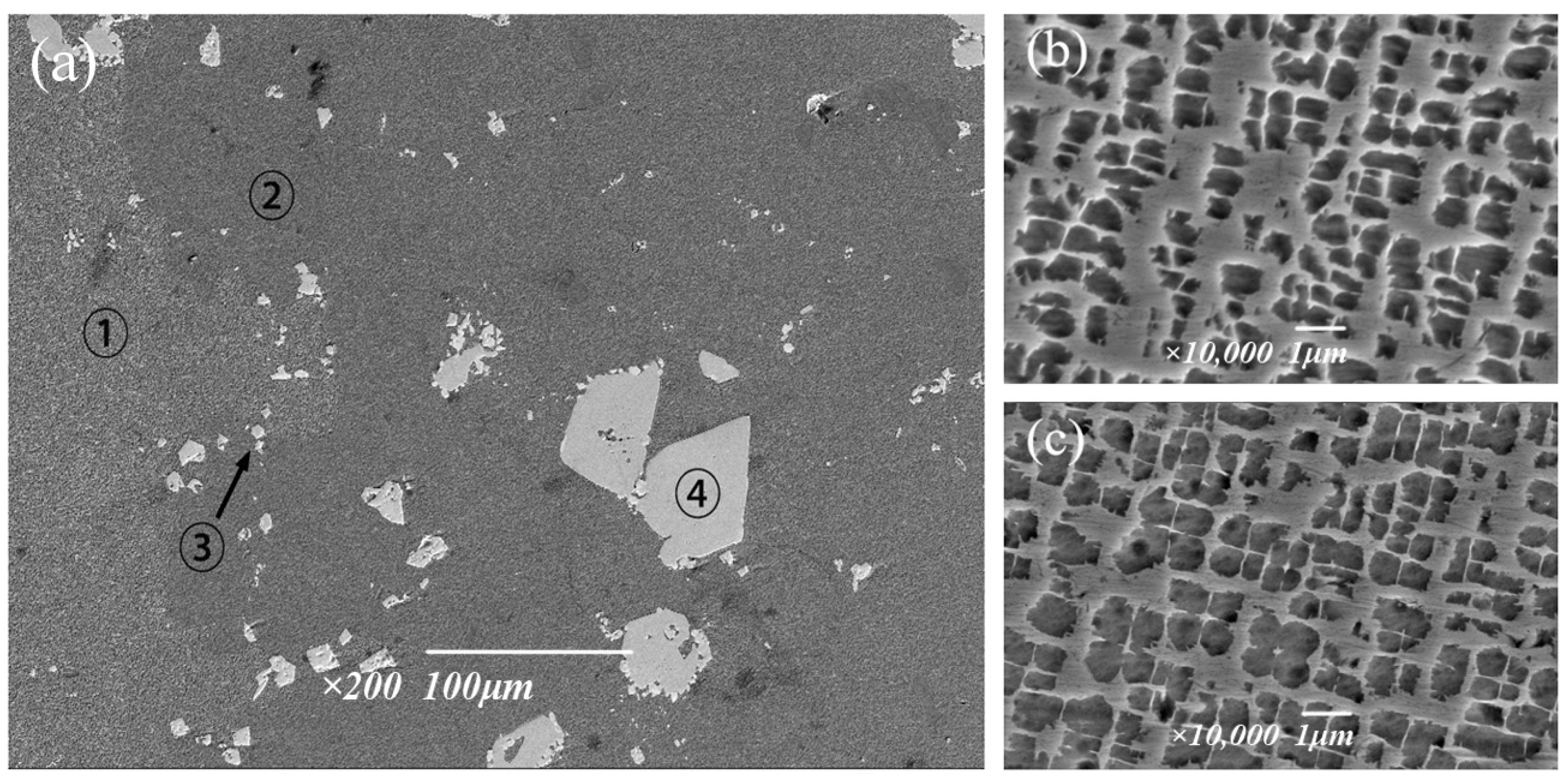 Metals 14 00872 g010