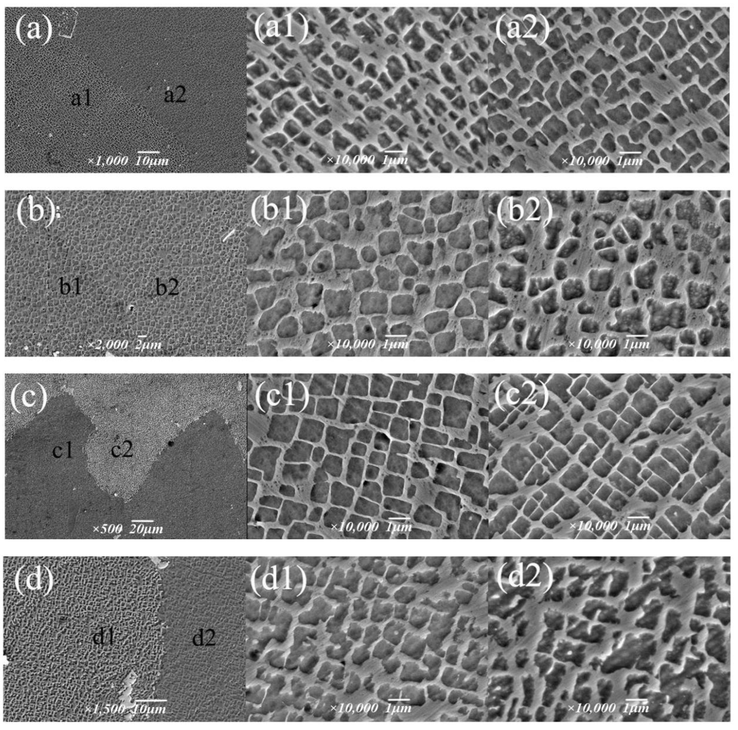 Metals 14 00872 g013