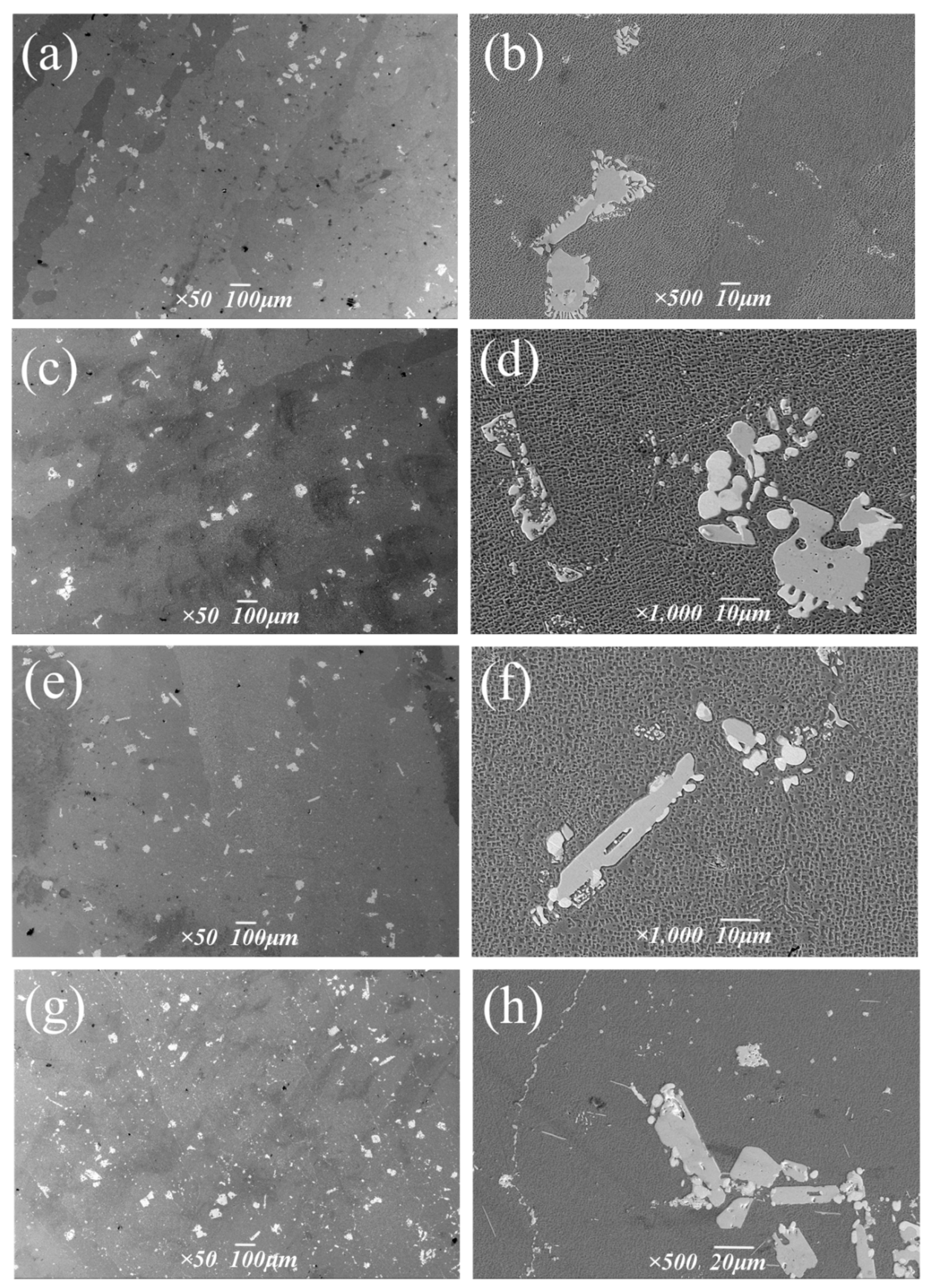 Metals 14 00872 g014