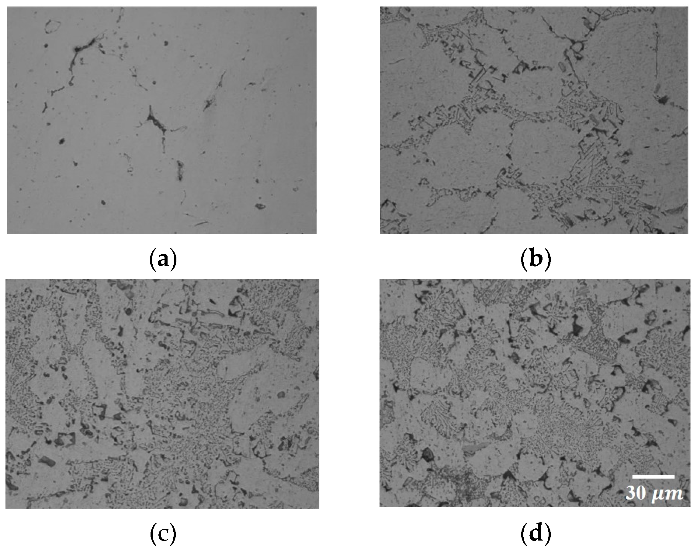 Metals 14 00877 g015