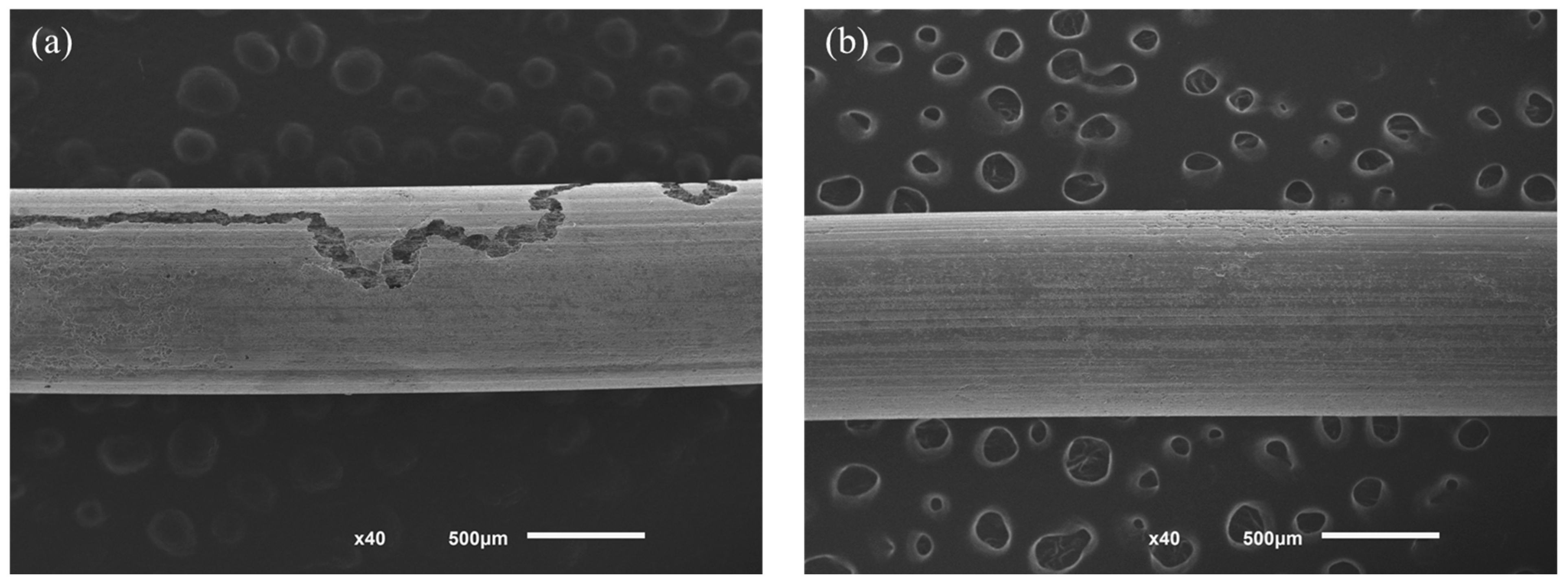 Metals 14 00885 g005