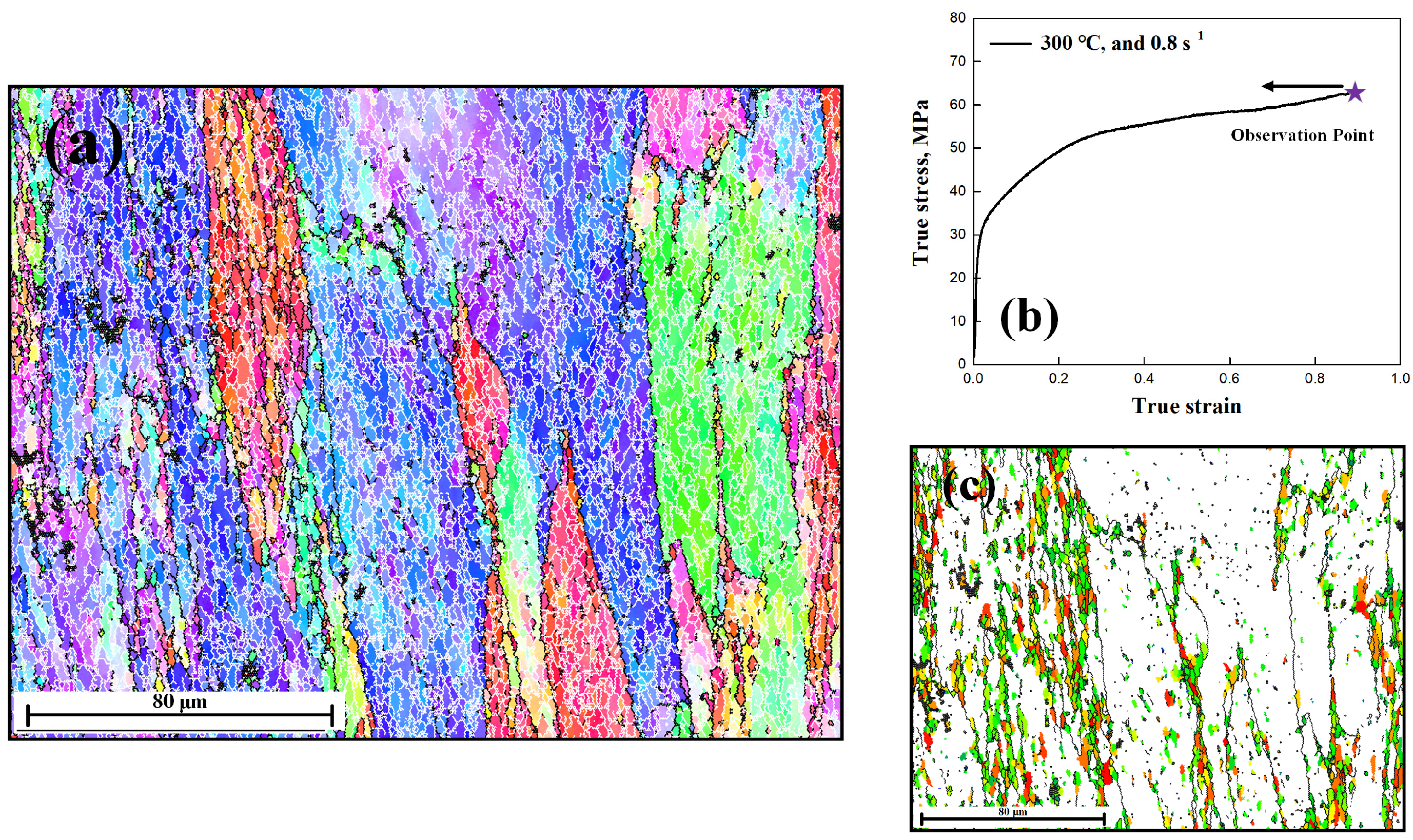 Metals 14 00889 g010