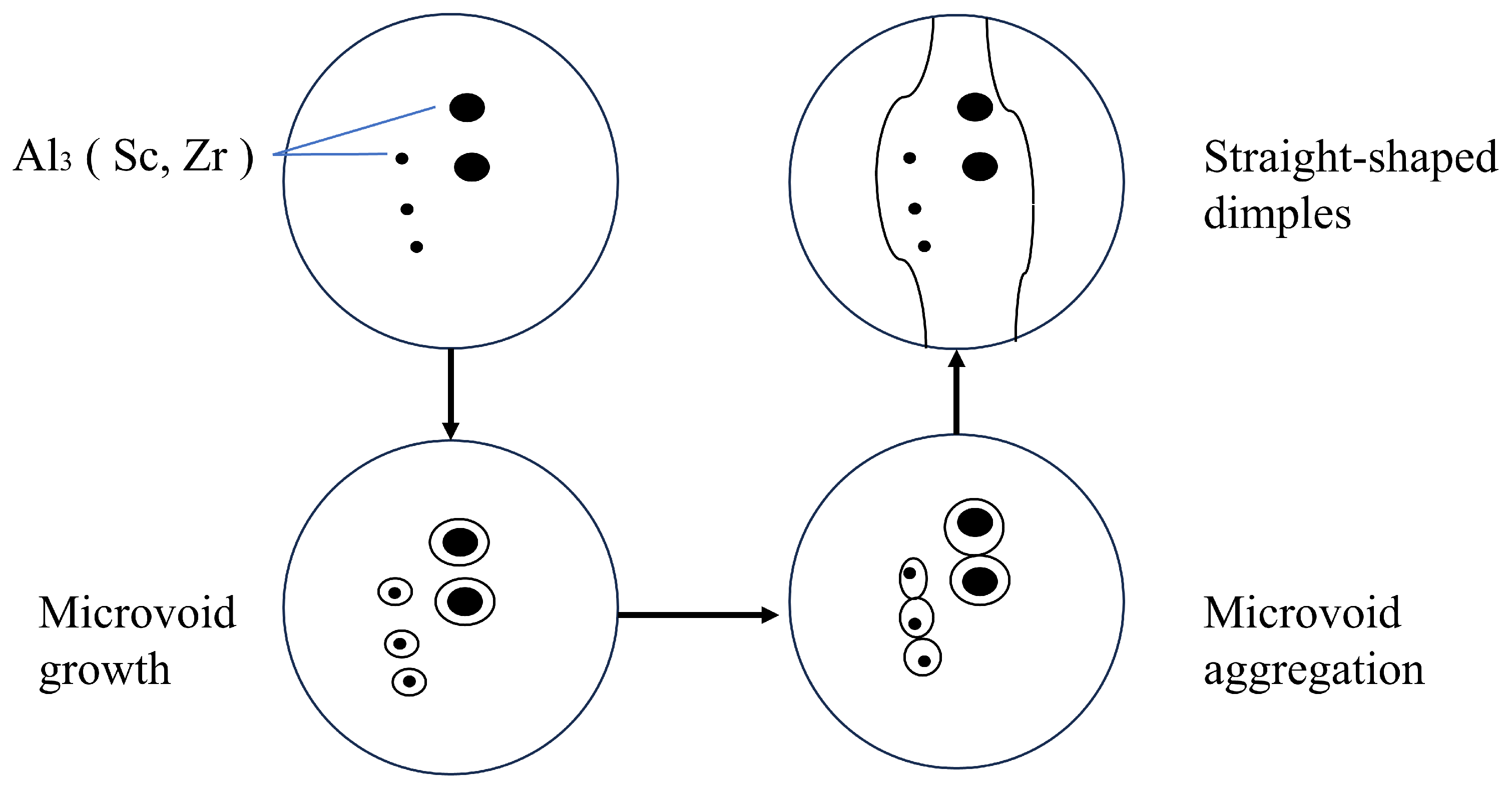 Metals 14 00890 g014