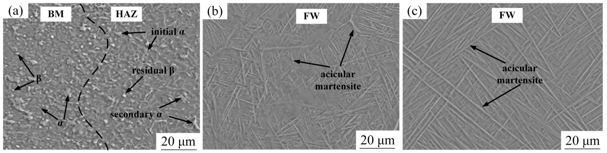 Metals 14 00893 g007