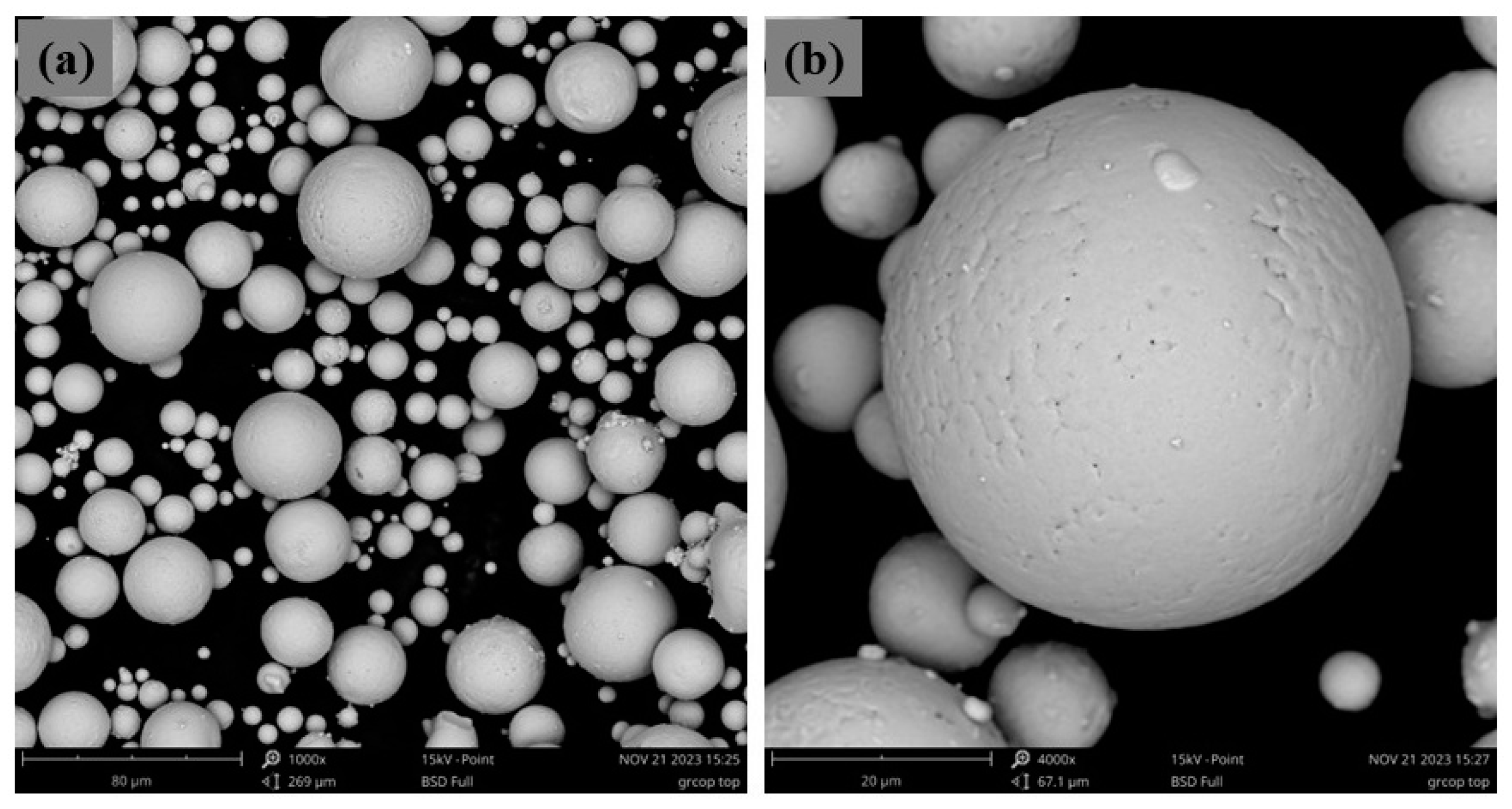 Metals 14 00897 g006