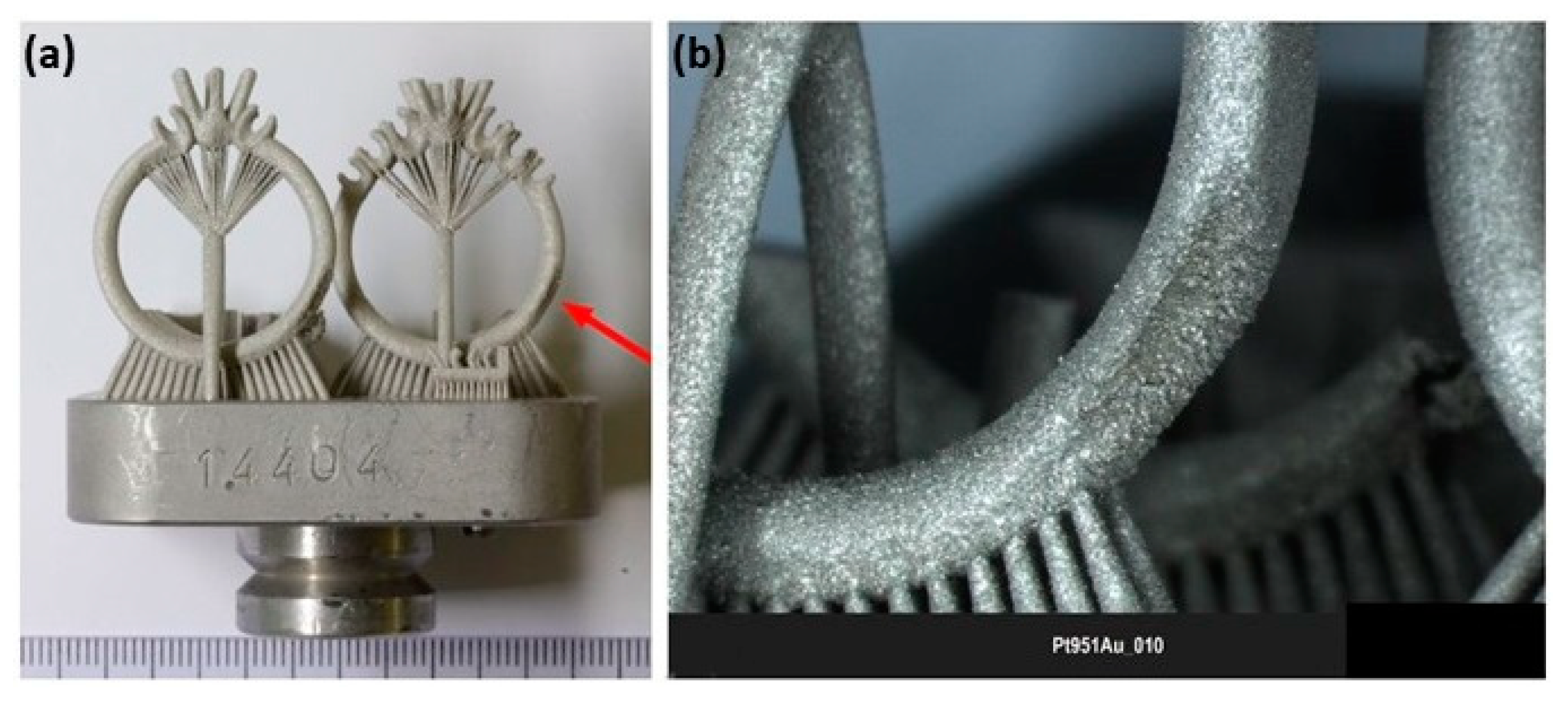 Metals 14 00897 g013