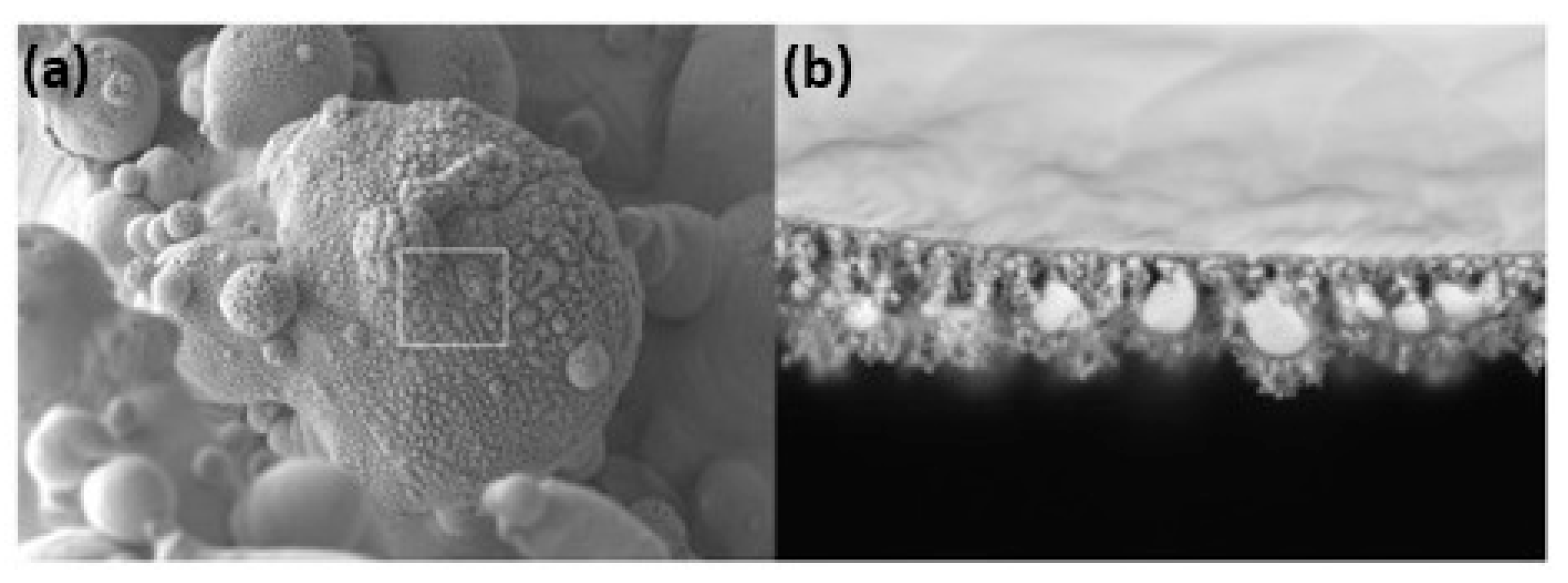 Metals 14 00897 g015