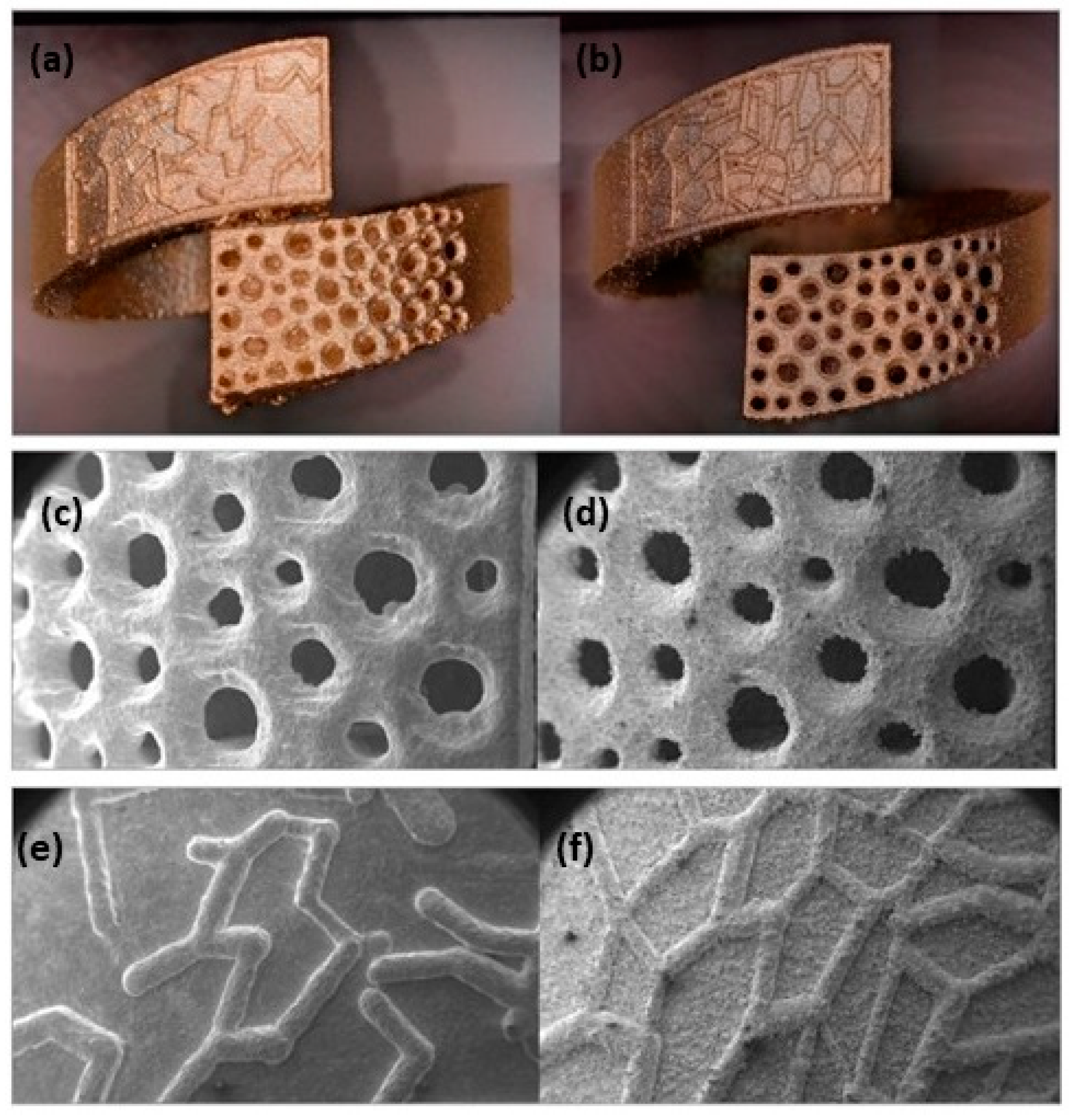 Metals 14 00897 g019