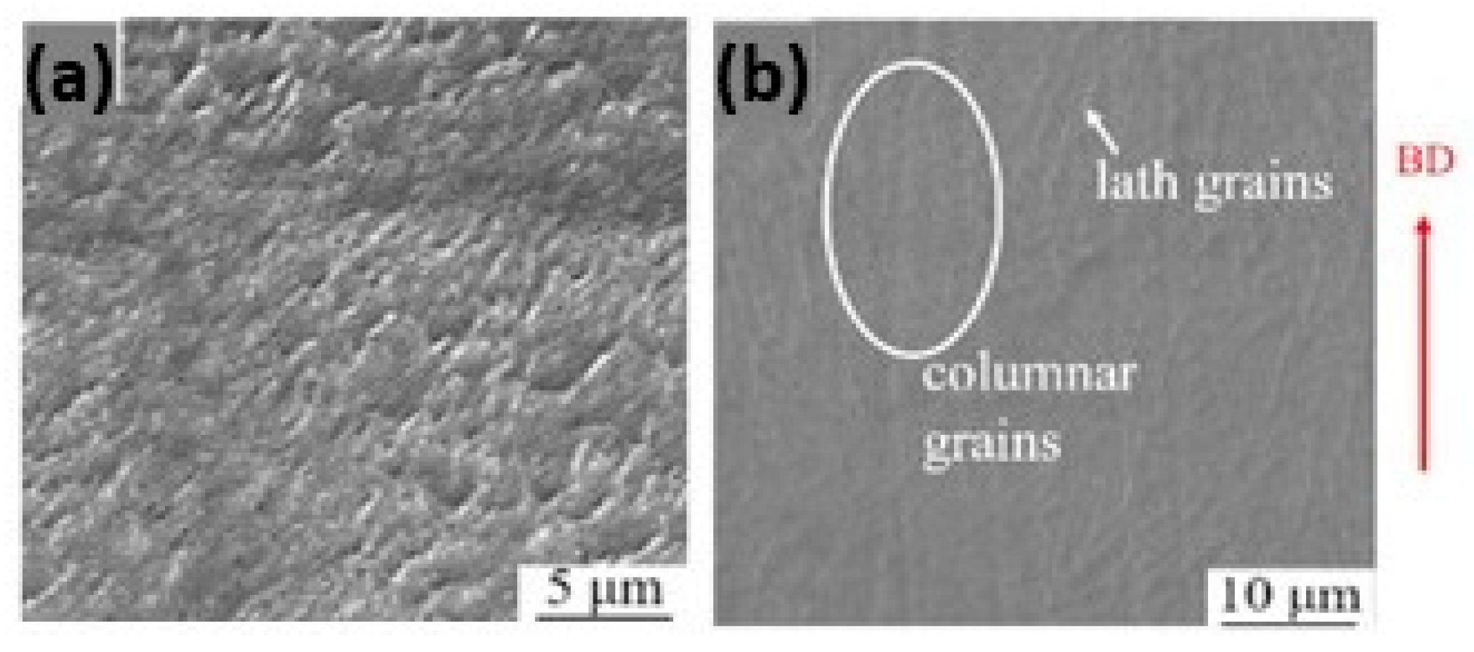 Metals 14 00897 g022